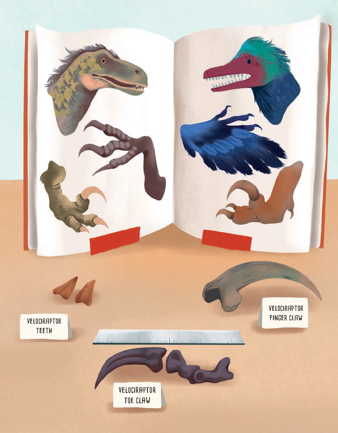Are Birds Modern-Day Dinosaurs?