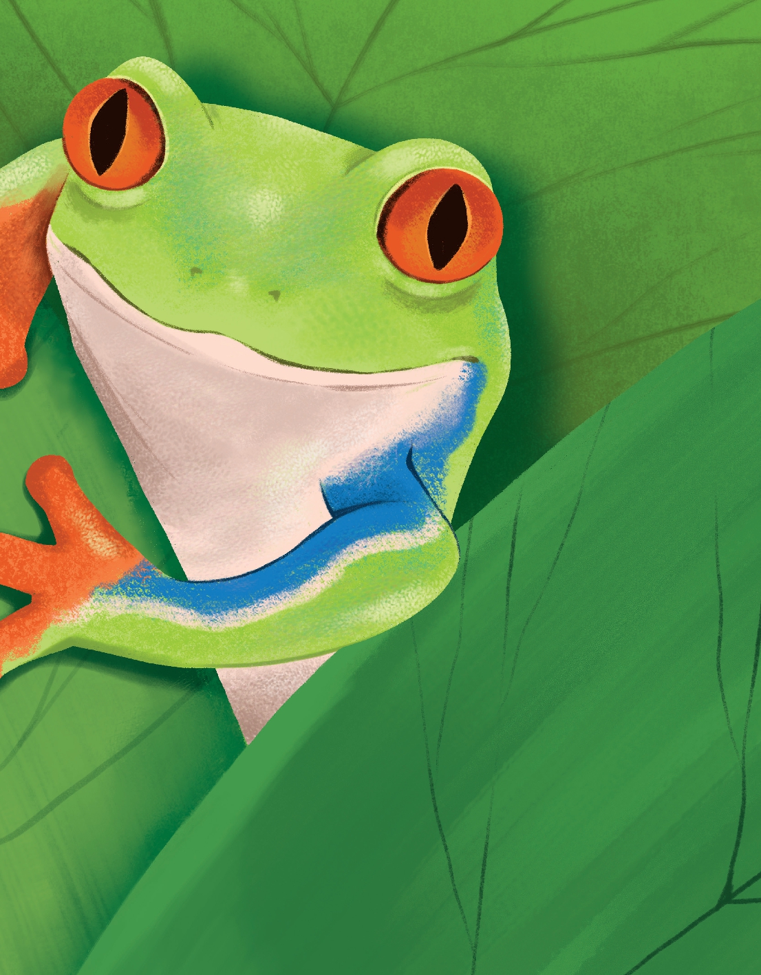 What Can Frogs Tell Us about Our Planet?