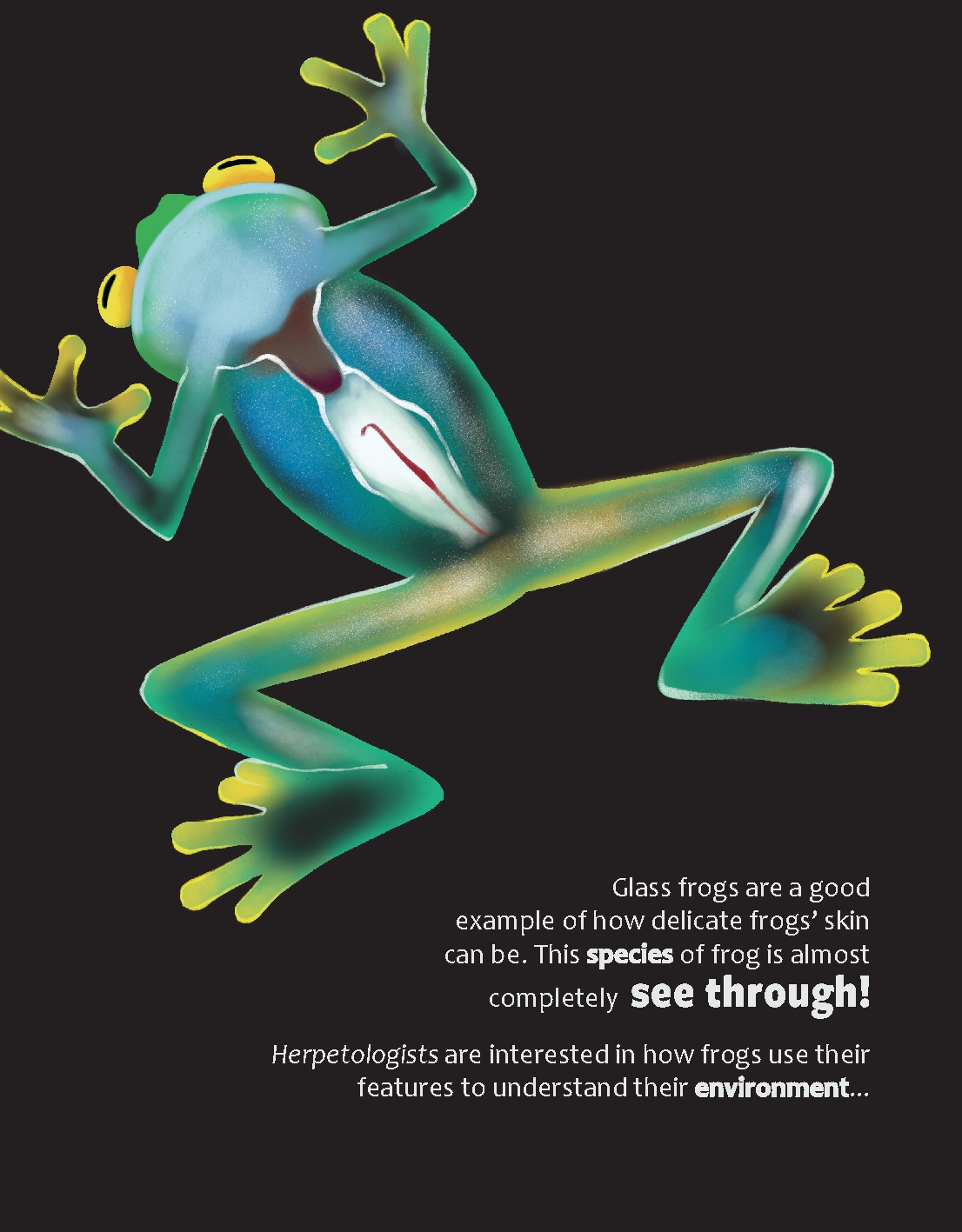 What Can Frogs Tell Us about Our Planet?