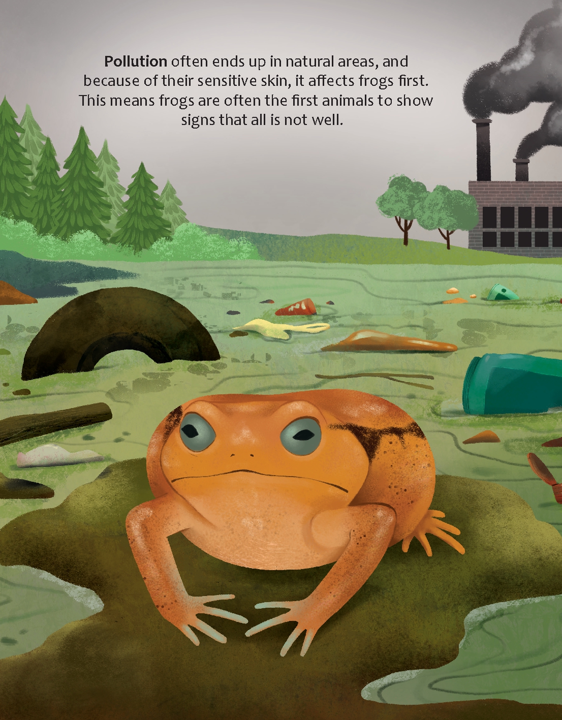 What Can Frogs Tell Us about Our Planet?