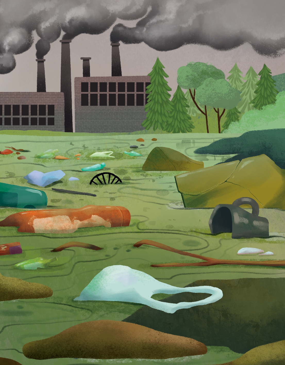 What Can Frogs Tell Us about Our Planet?