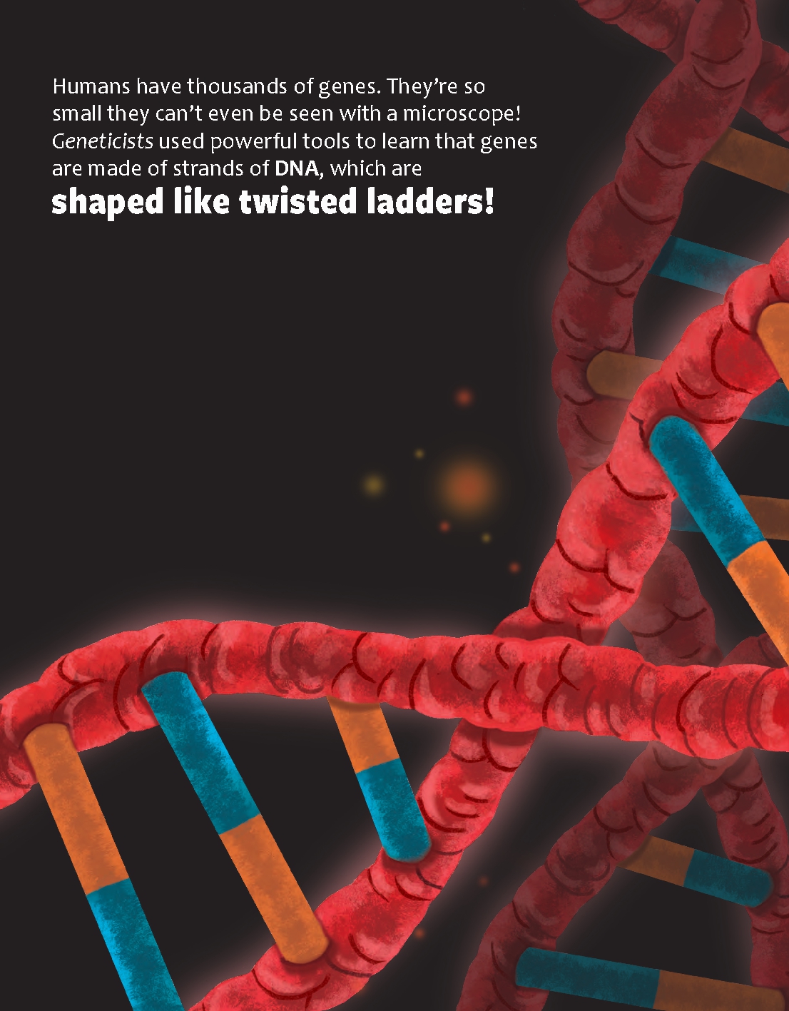 Could Genes Allow Us to Live Forever?