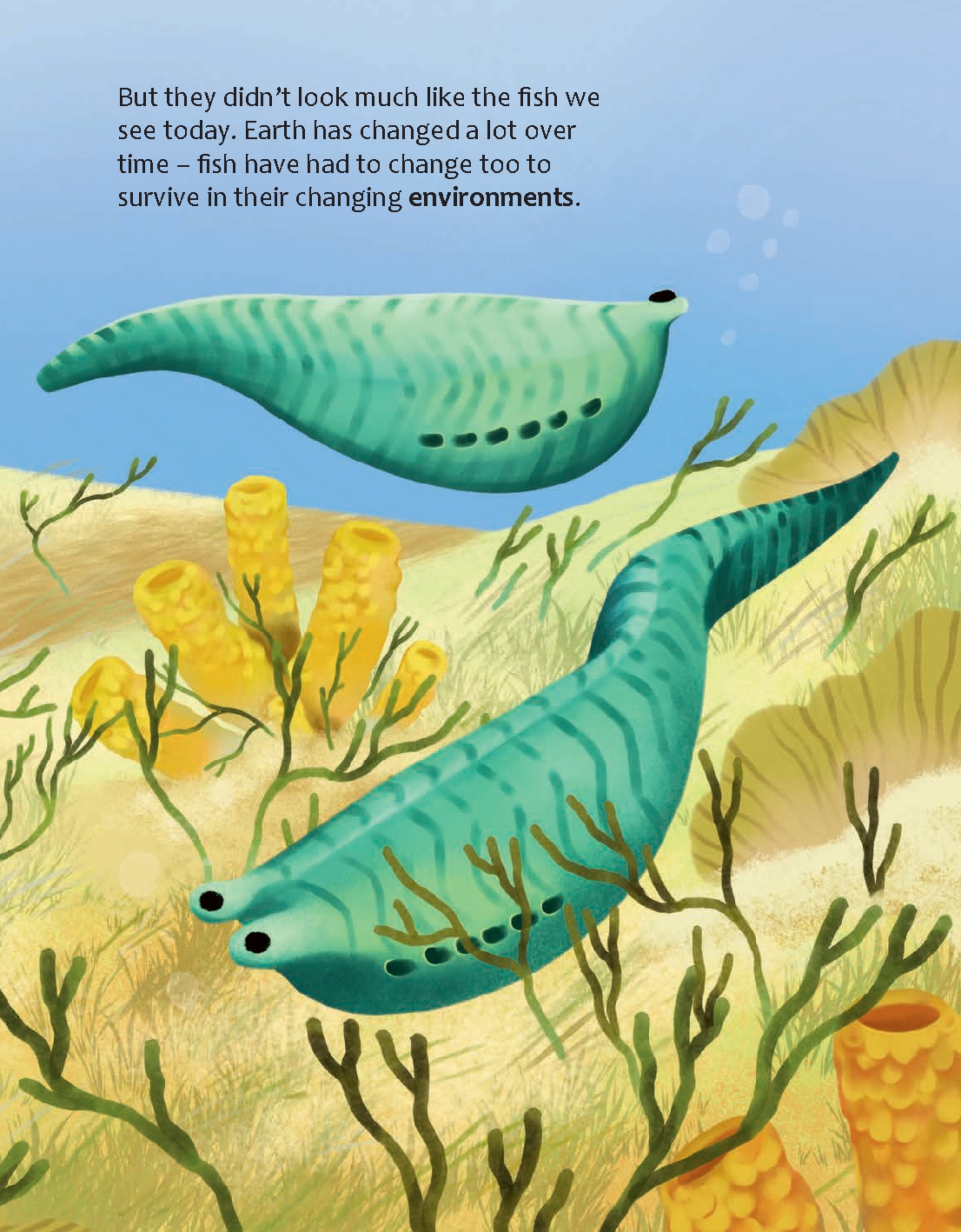 Do Fish Only Live Underwater?