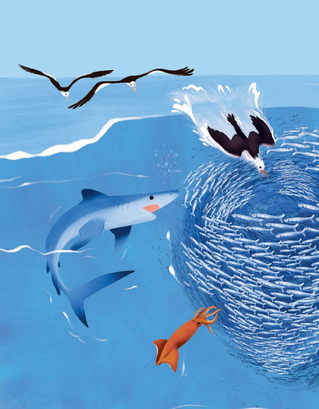 Do Fish Only Live Underwater?