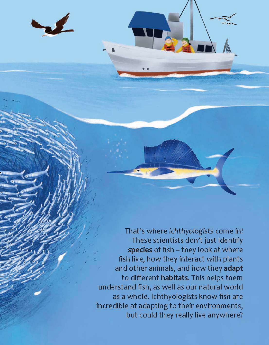 Do Fish Only Live Underwater?