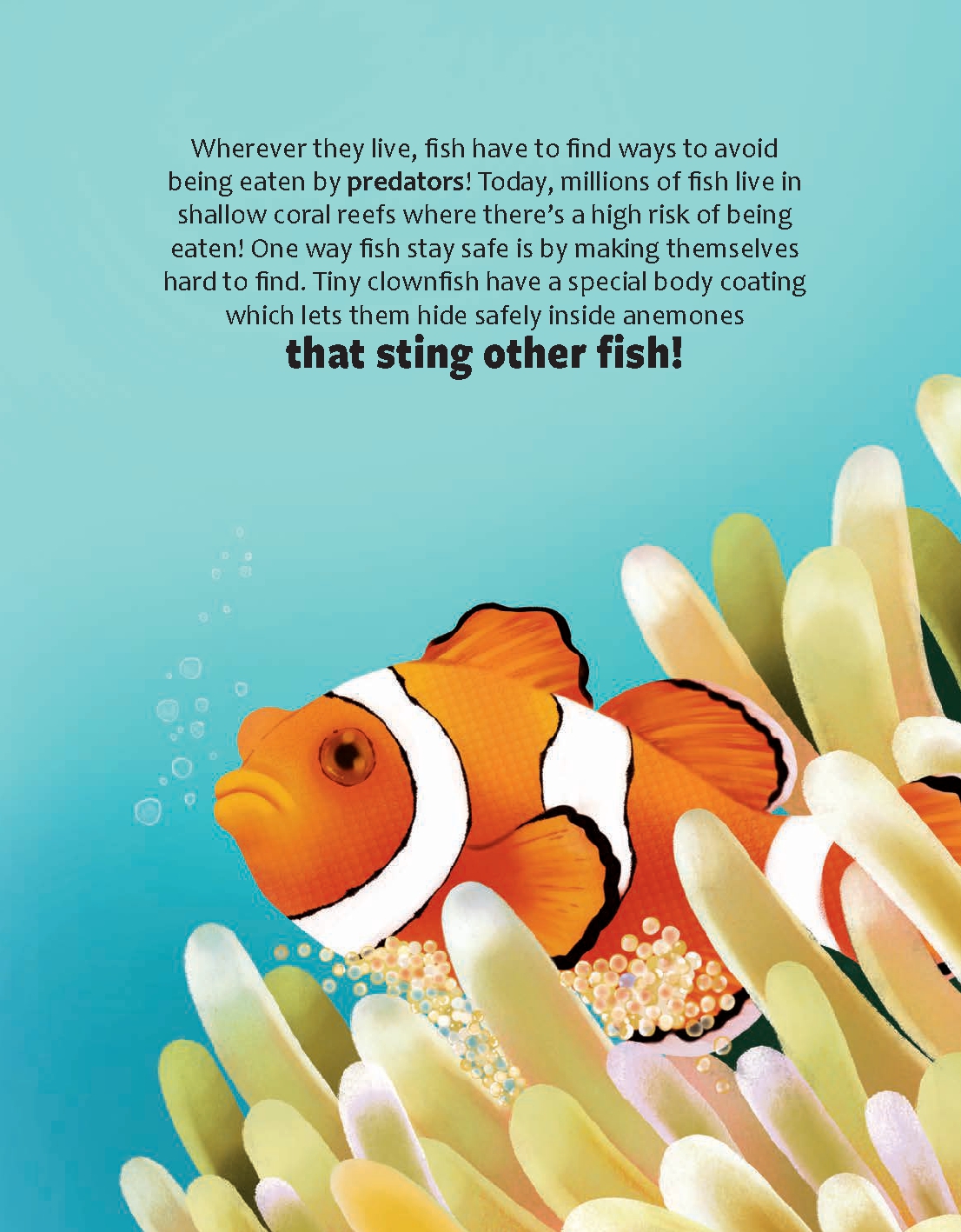 Do Fish Only Live Underwater?