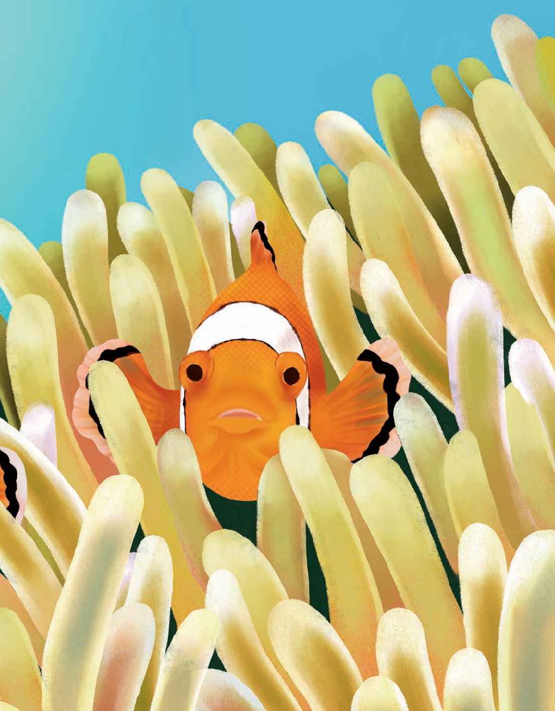 Do Fish Only Live Underwater?