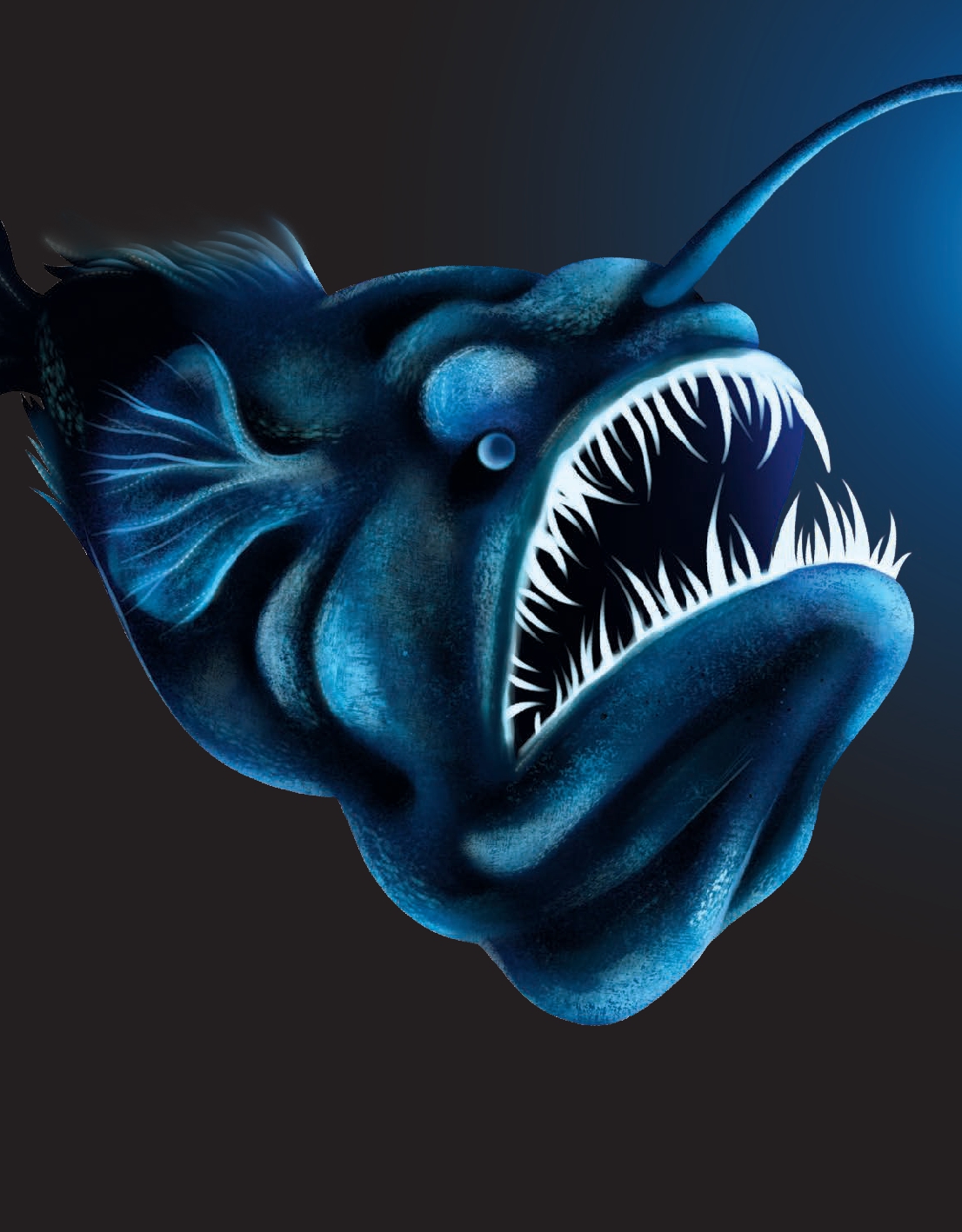 Do Fish Only Live Underwater?