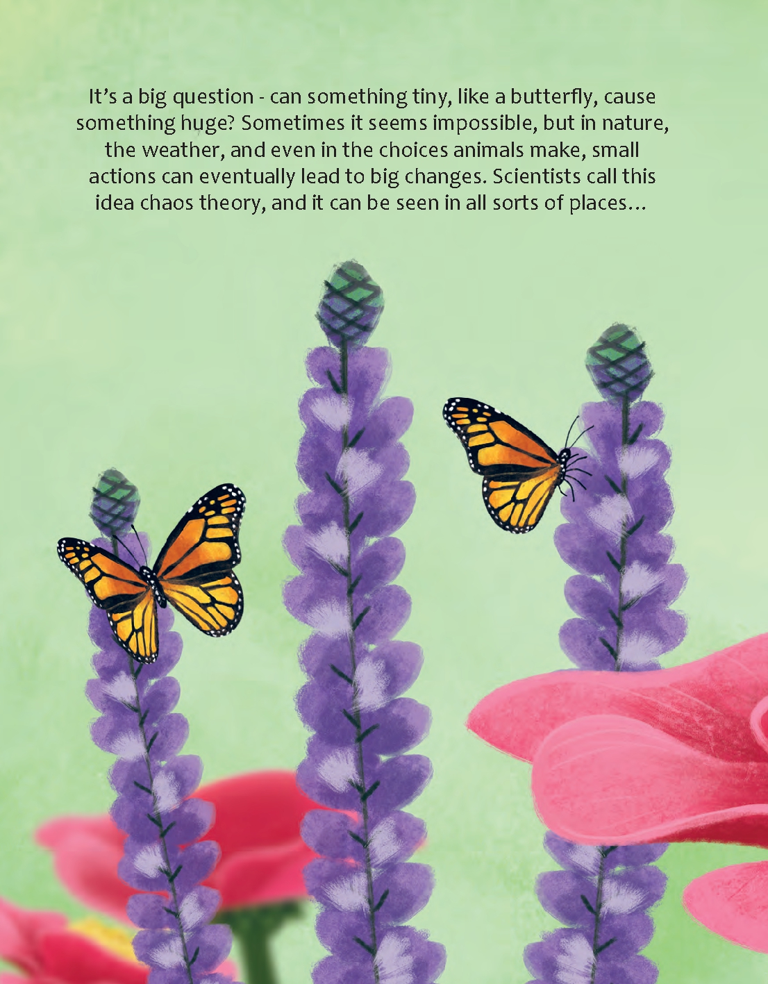 Can a Butterfly Cause a Hurricane?