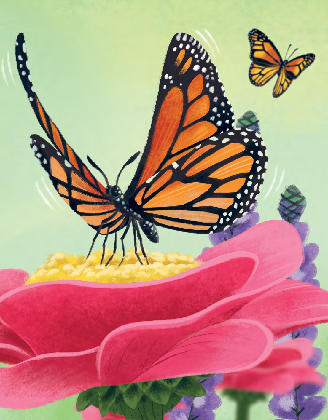 Can a Butterfly Cause a Hurricane?