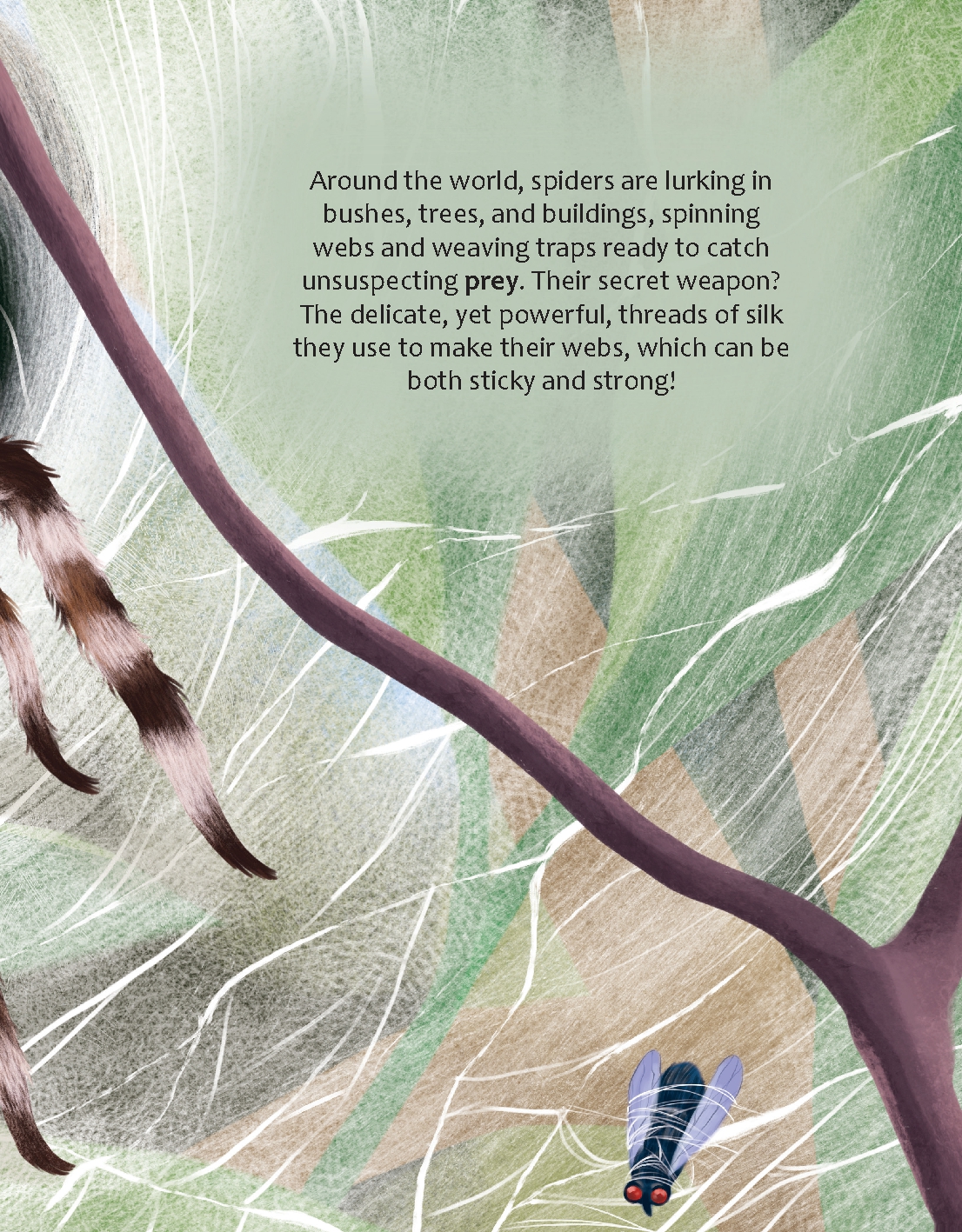 Are Spider Webs Stronger Than Steel?