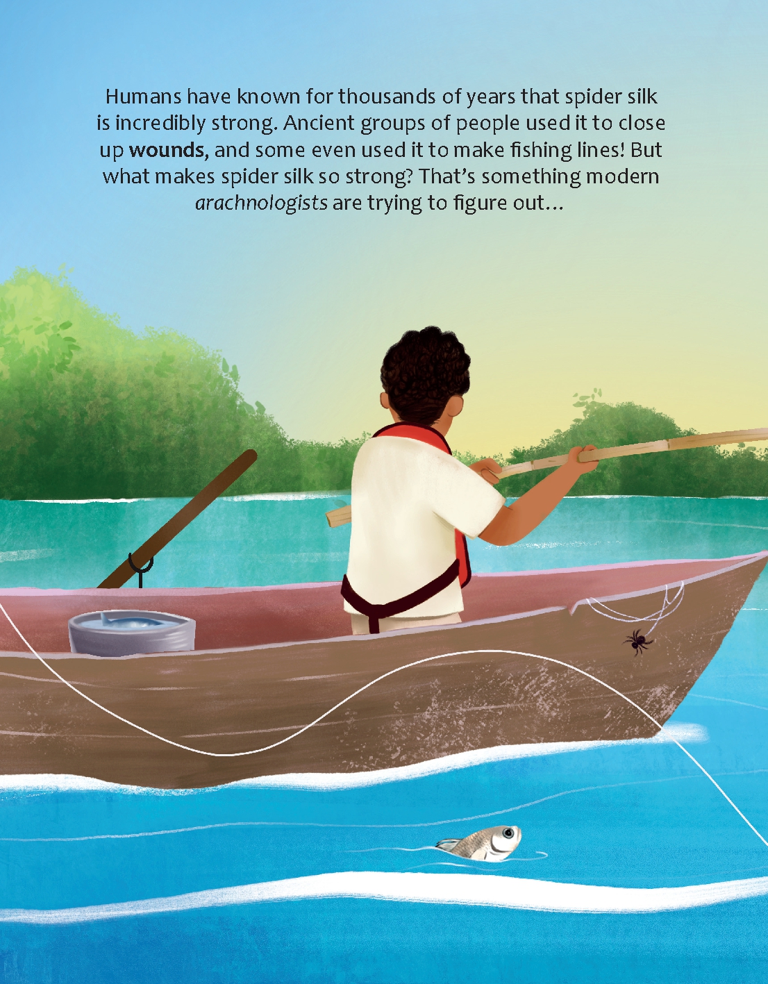 Are Spider Webs Stronger Than Steel?