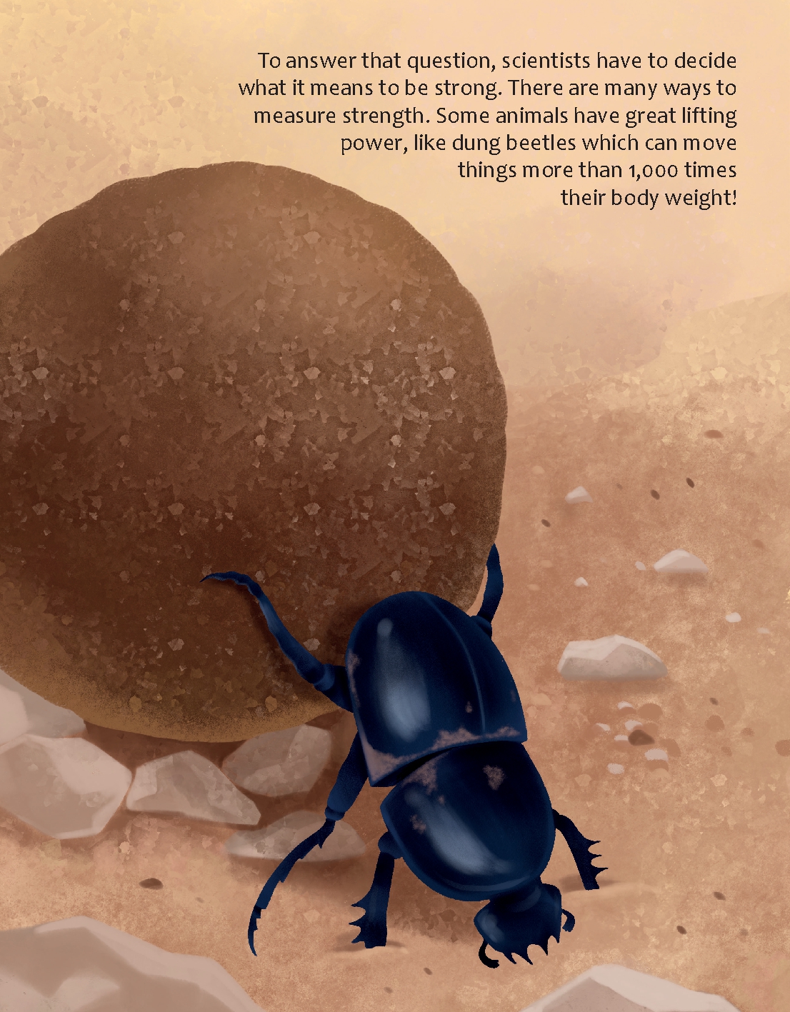 Are Spider Webs Stronger Than Steel?