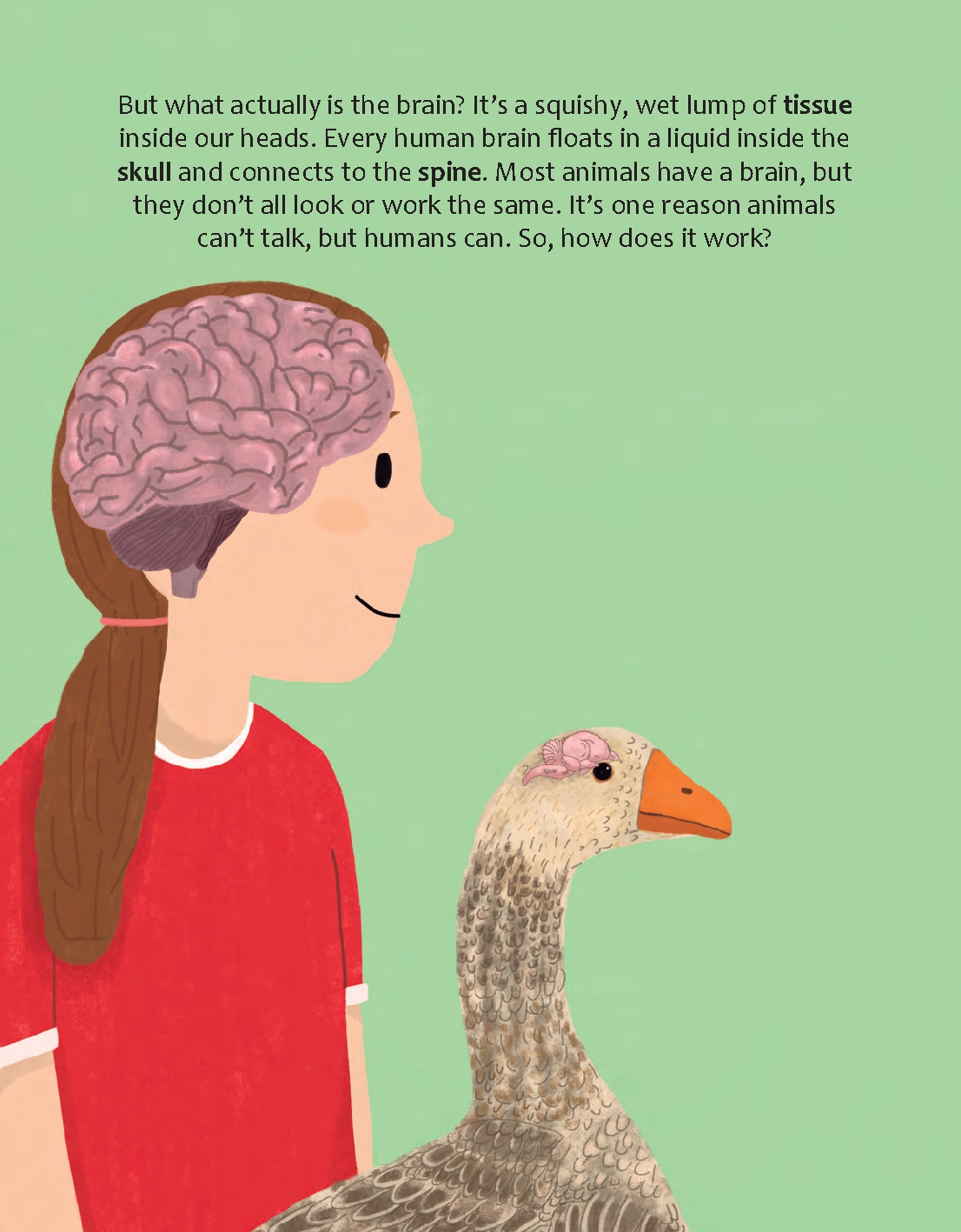 Could the Human Brain Power a Light Bulb?