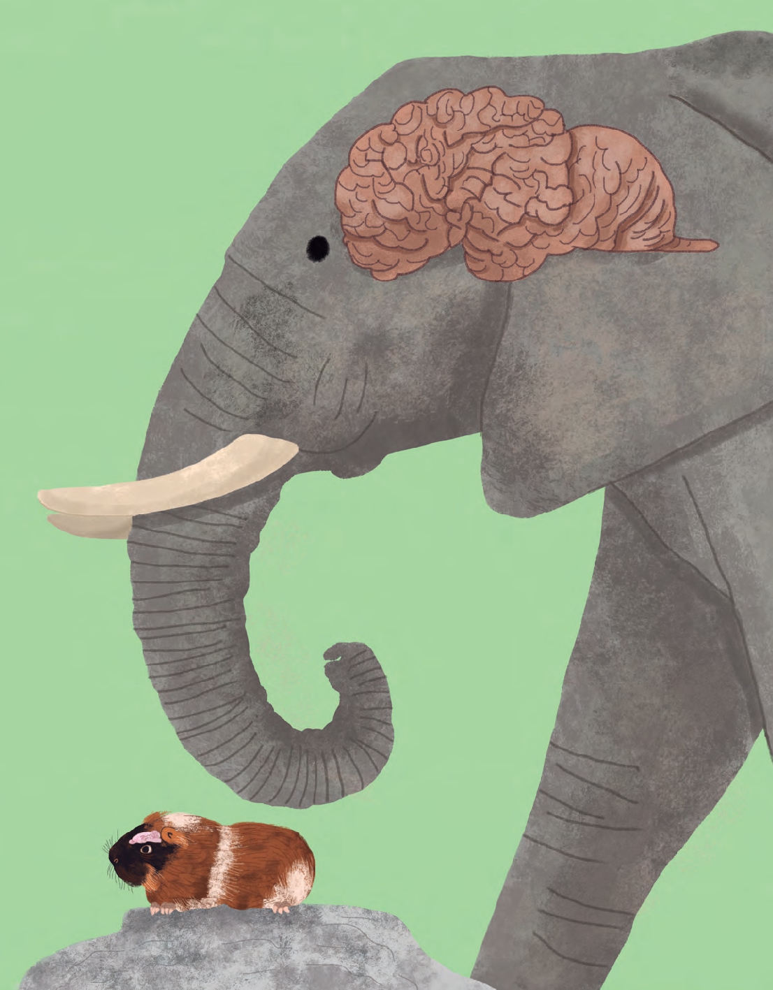 Could the Human Brain Power a Light Bulb?