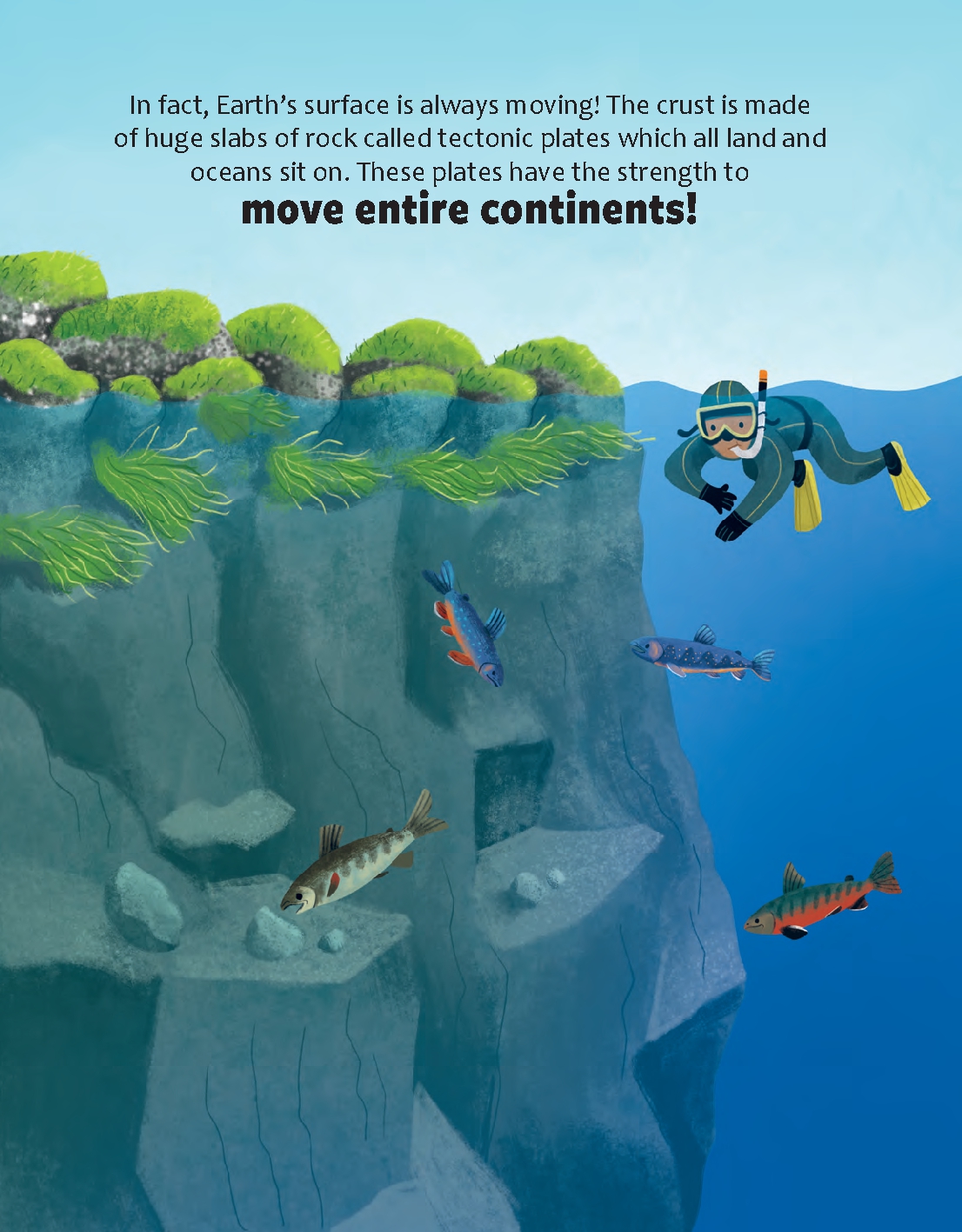 Do Rocks Shape the Earth?