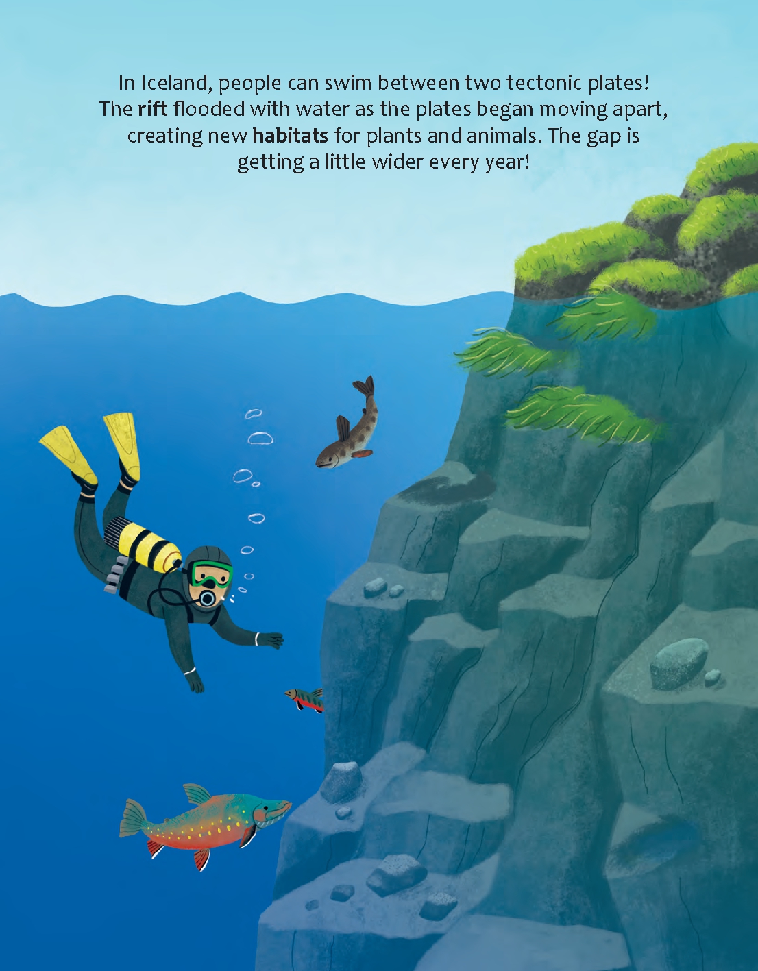 Do Rocks Shape the Earth?