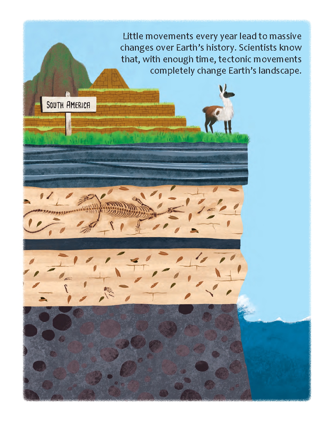 Do Rocks Shape the Earth?