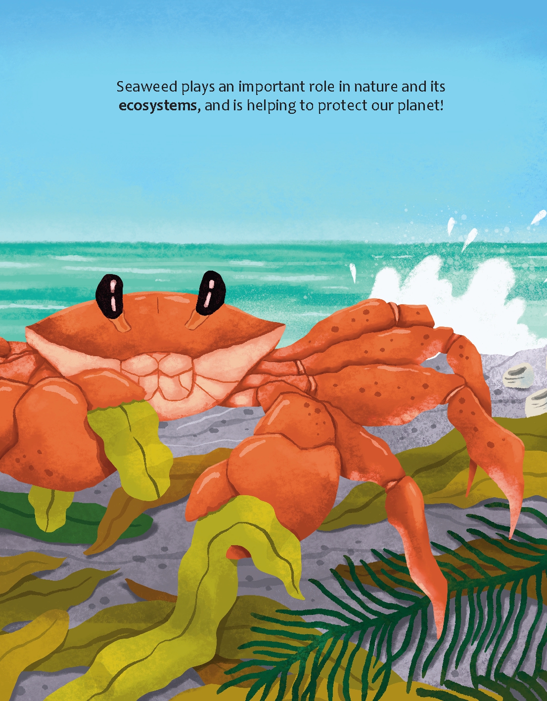 Could We Survive without Seaweed?