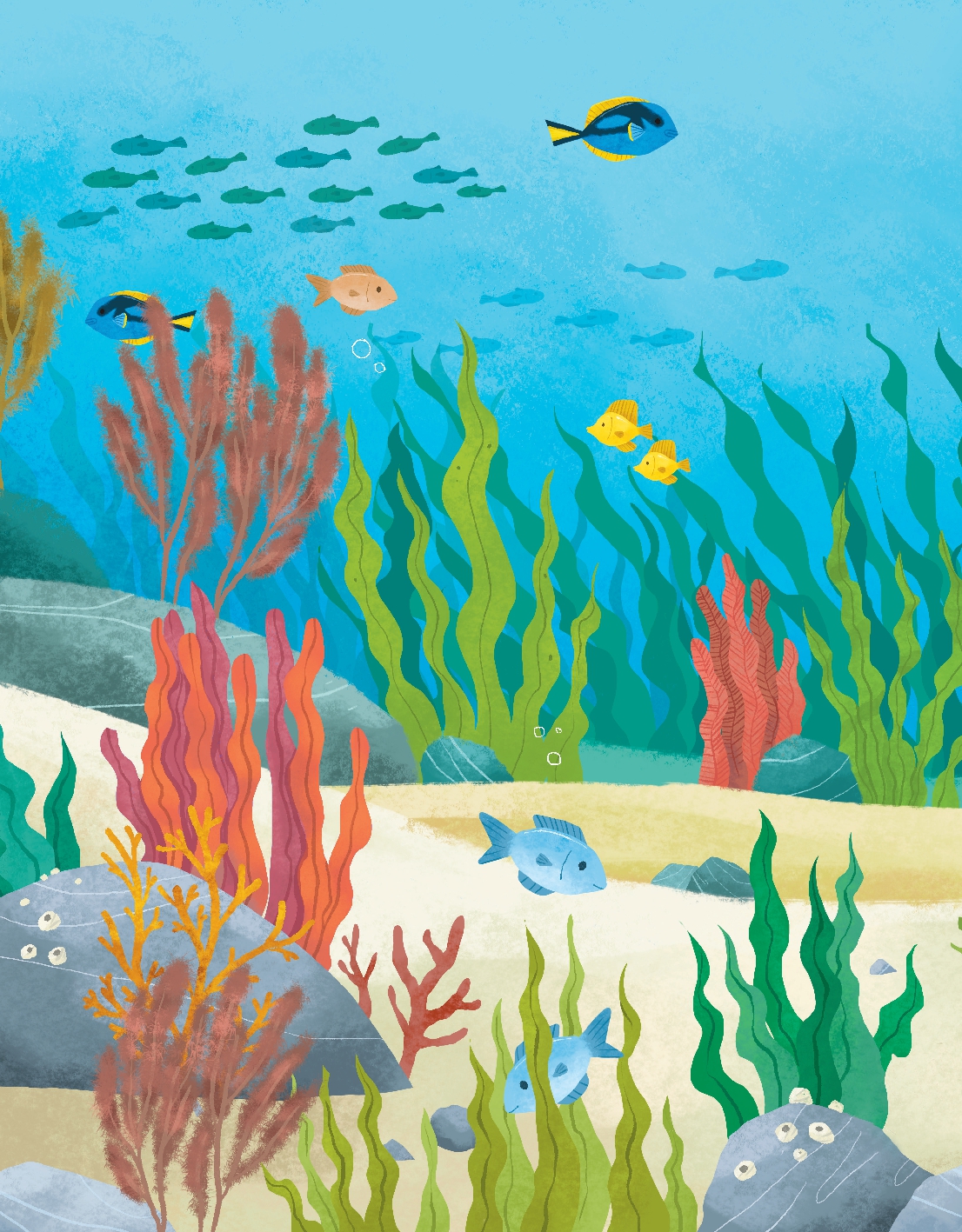 Could We Survive without Seaweed?