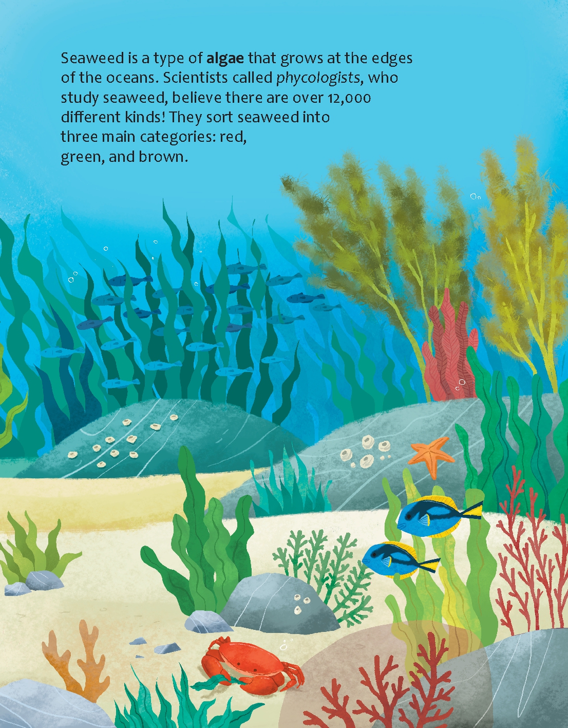 Could We Survive without Seaweed?