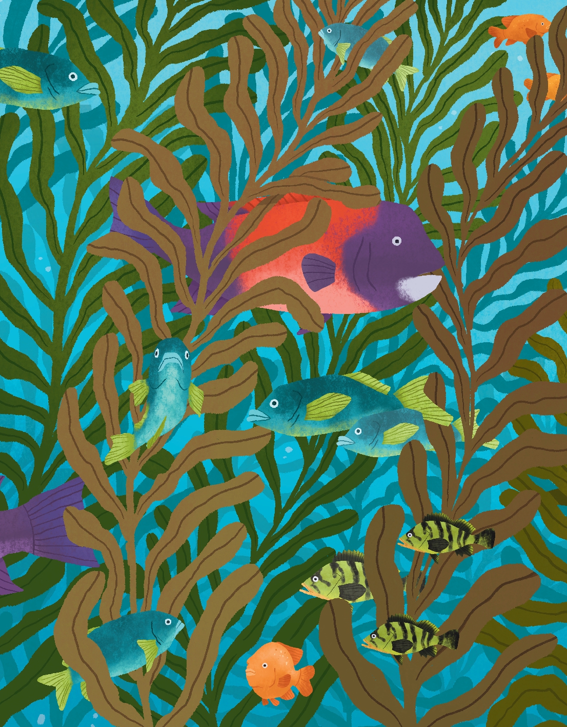 Could We Survive without Seaweed?