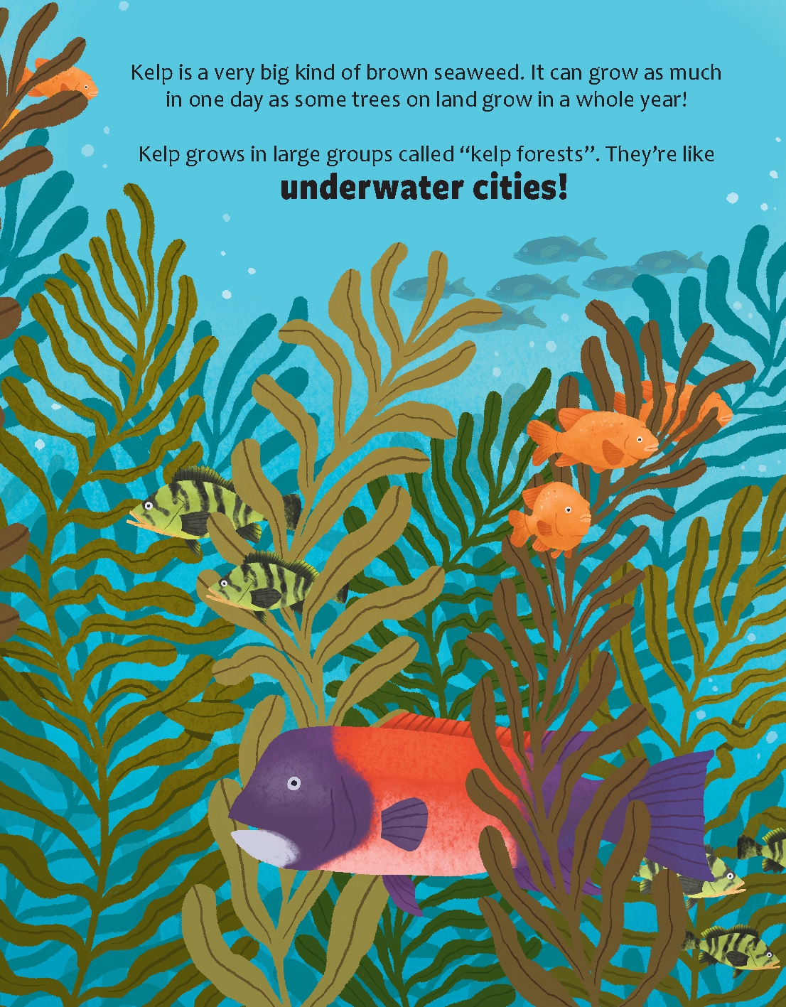 Could We Survive without Seaweed?