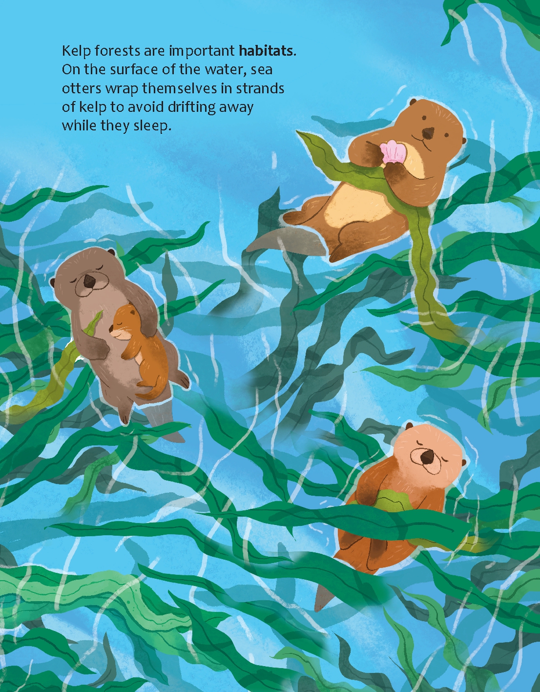 Could We Survive without Seaweed?