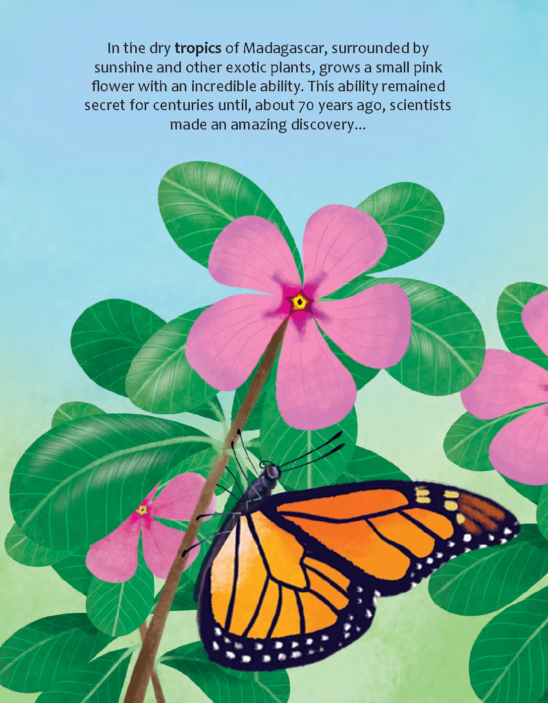 Could Rainforests Save Planet Earth?