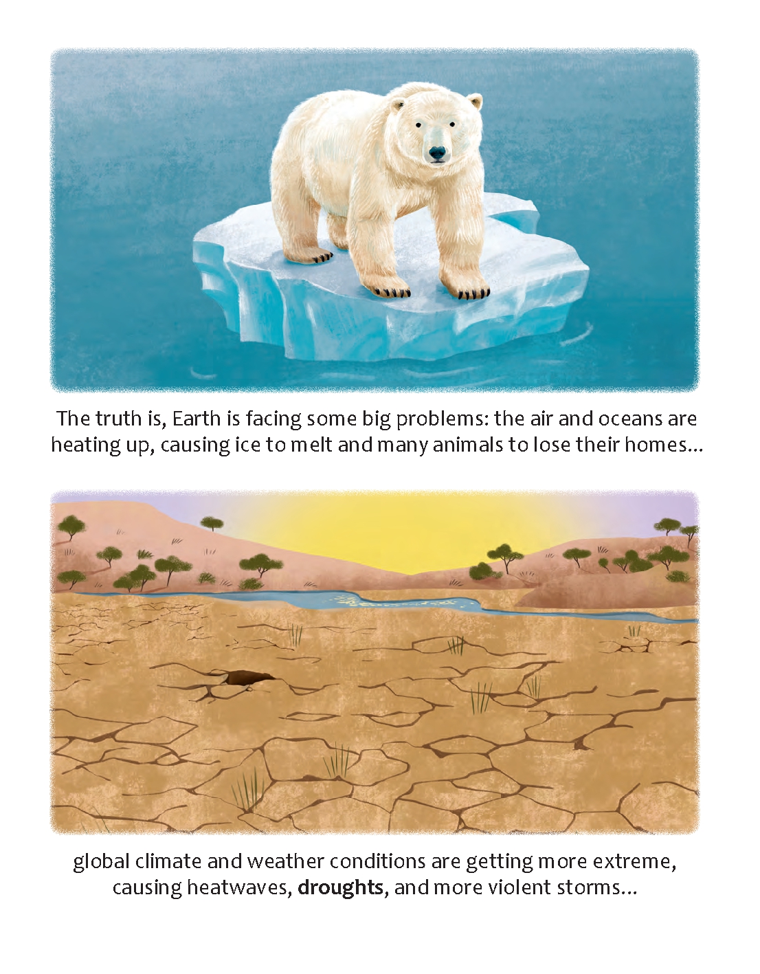 Could Rainforests Save Planet Earth?