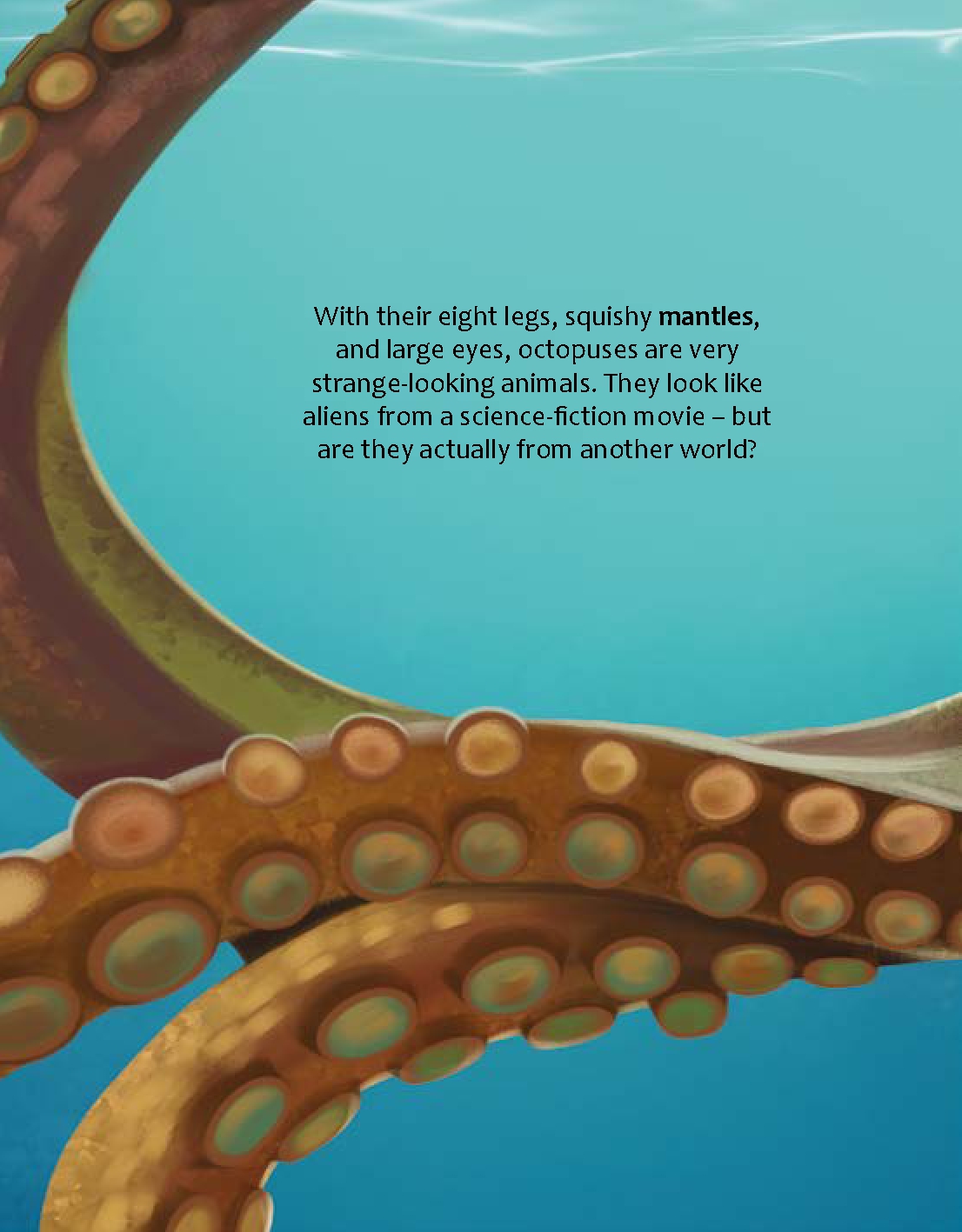Are Octopuses from Another World?