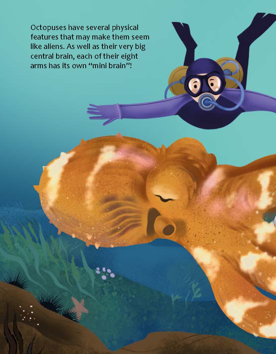 Are Octopuses from Another World?