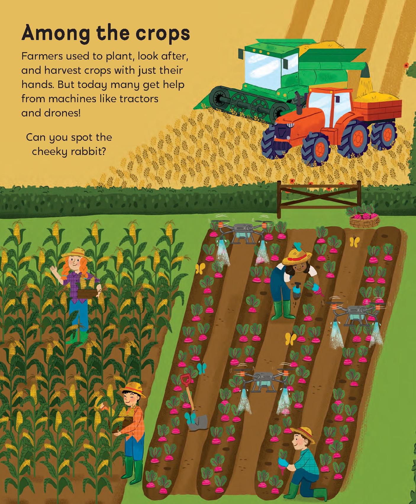 Farm World