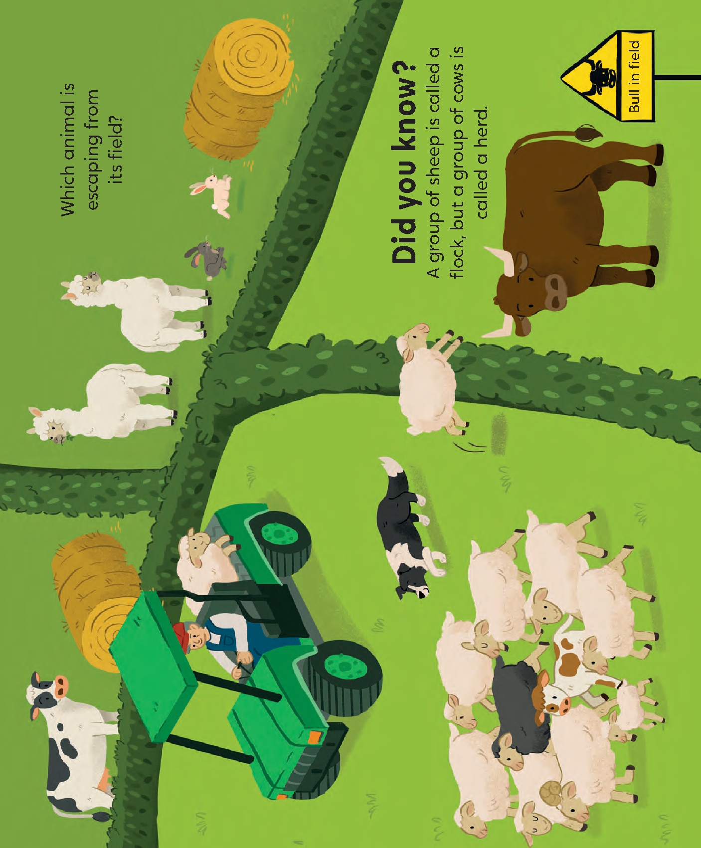 Farm World