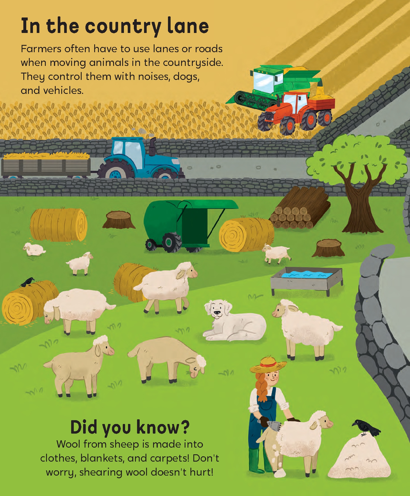 Farm World
