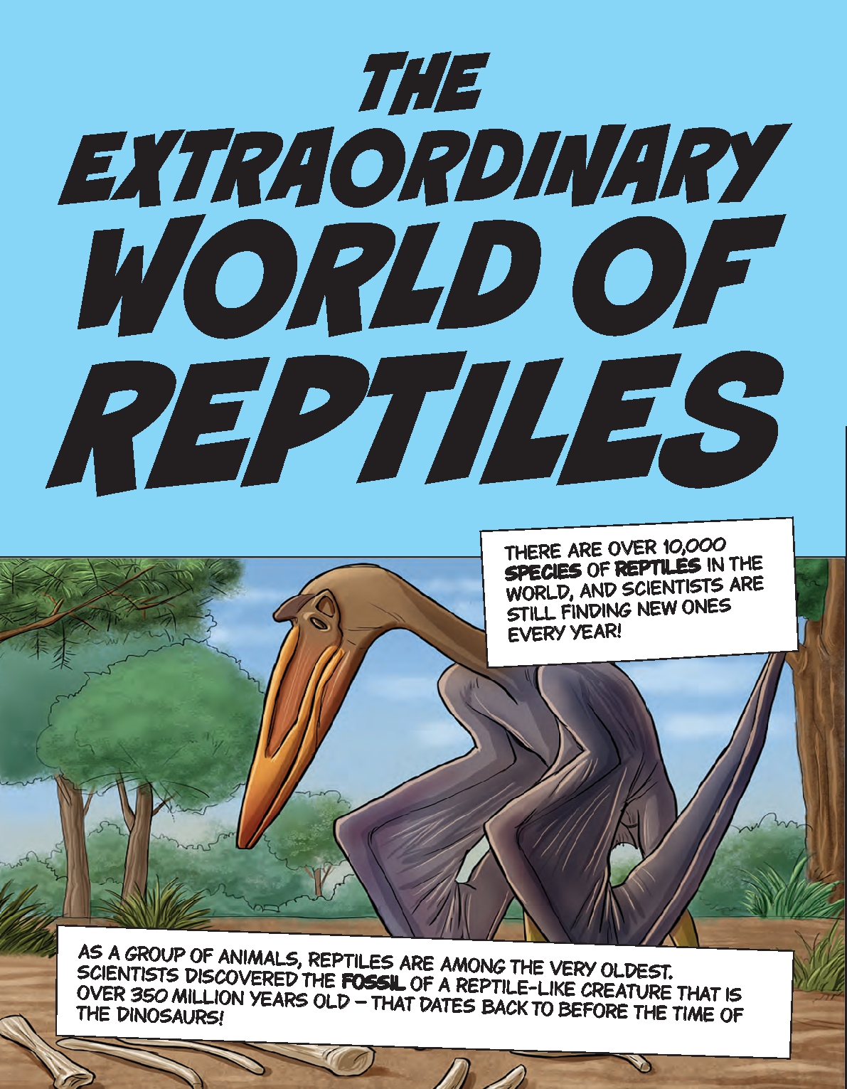 Reptiles Up Close