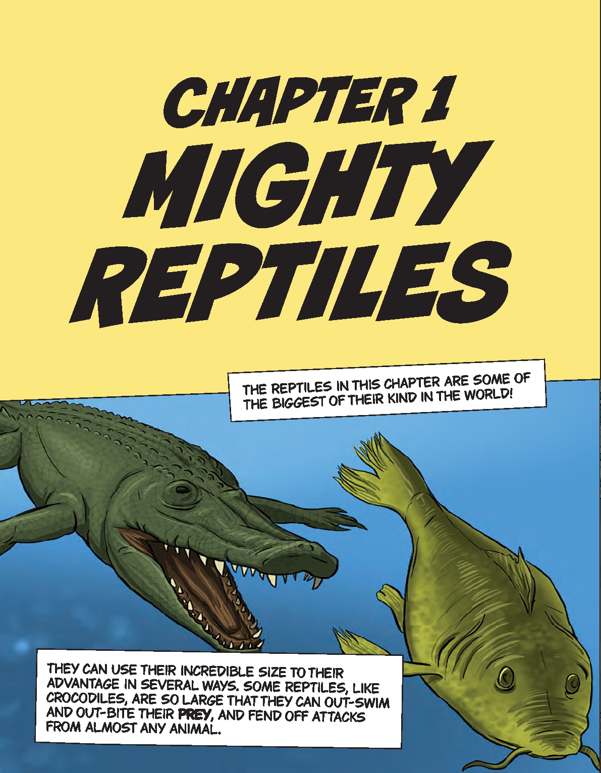 Reptiles Up Close