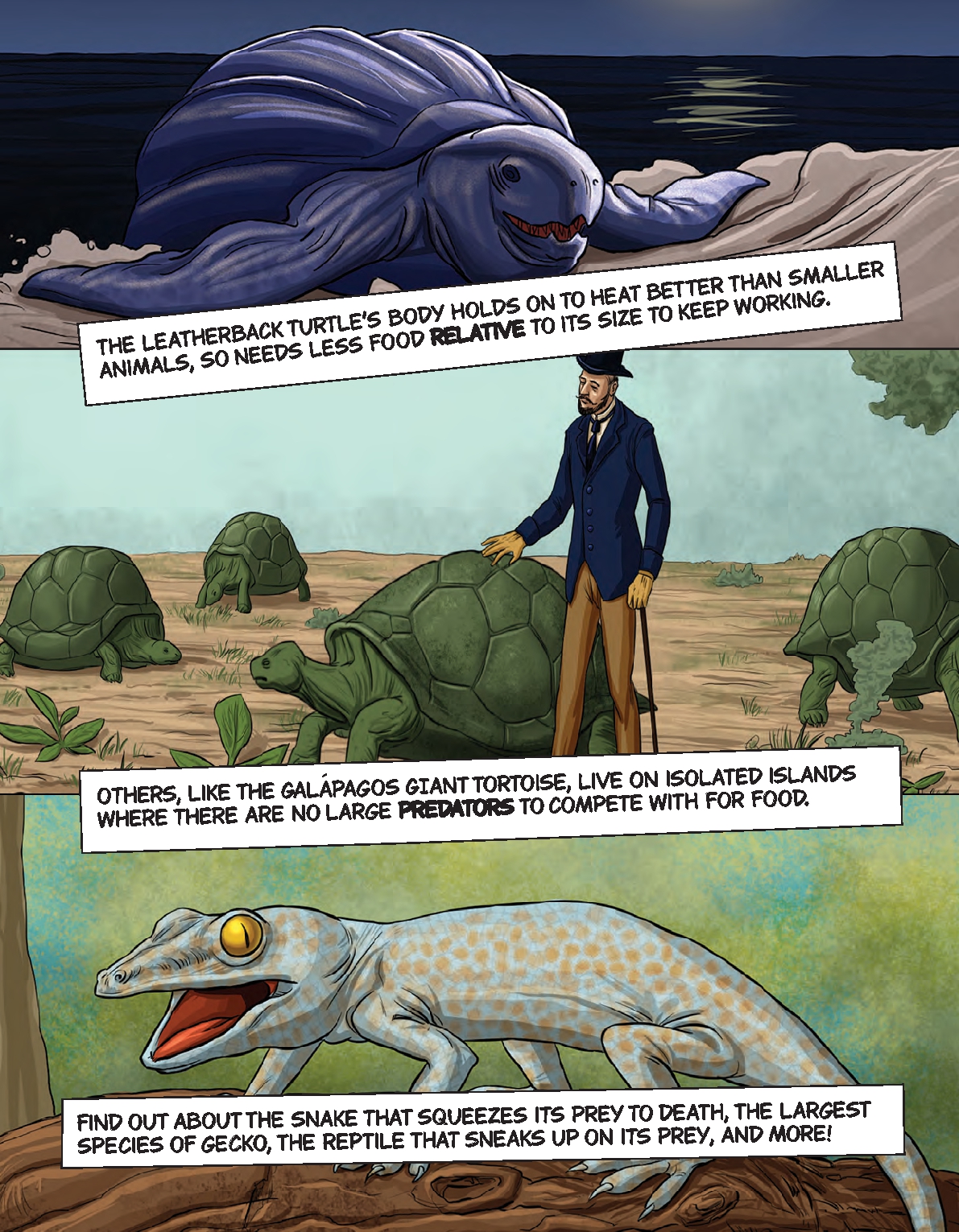 Reptiles Up Close