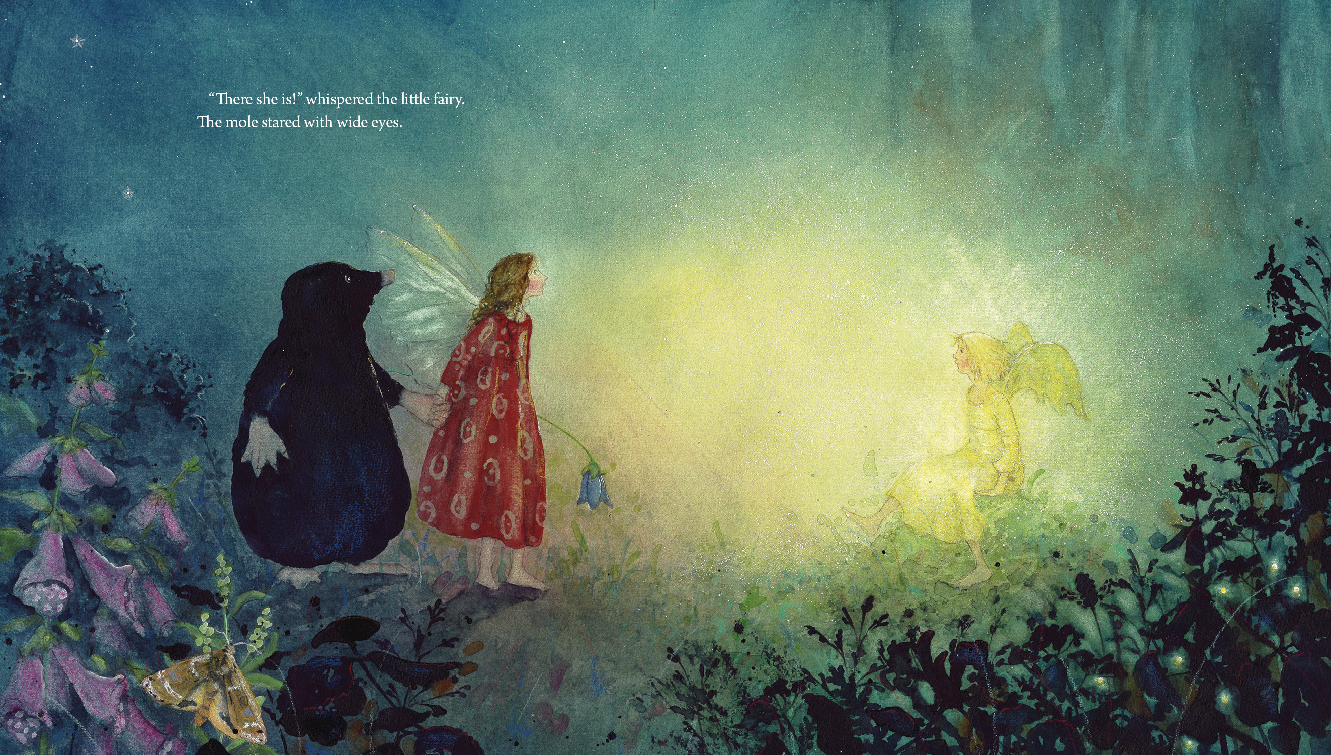 Little Fairy Makes a Wish