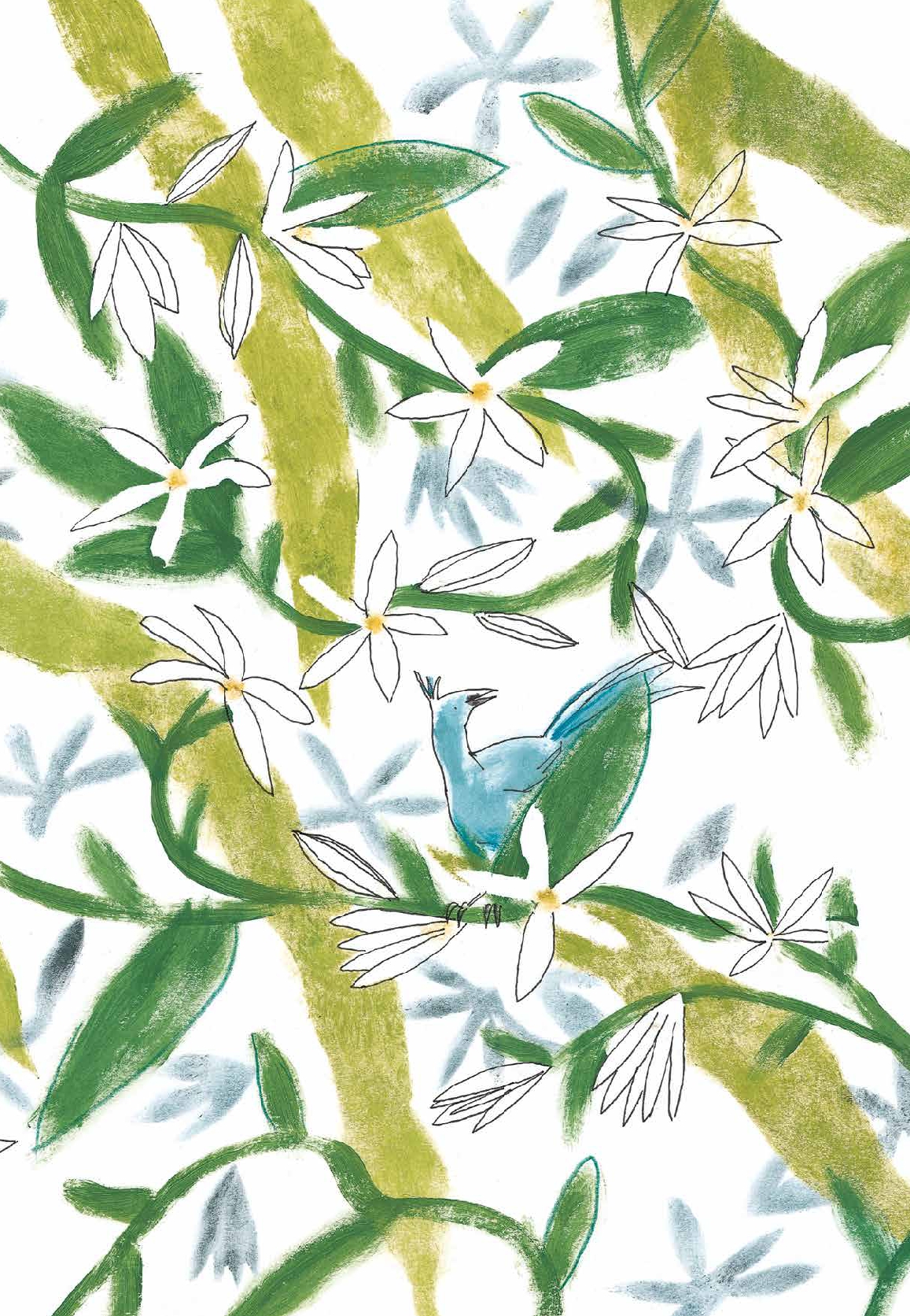 Azizi and the Little Blue Bird