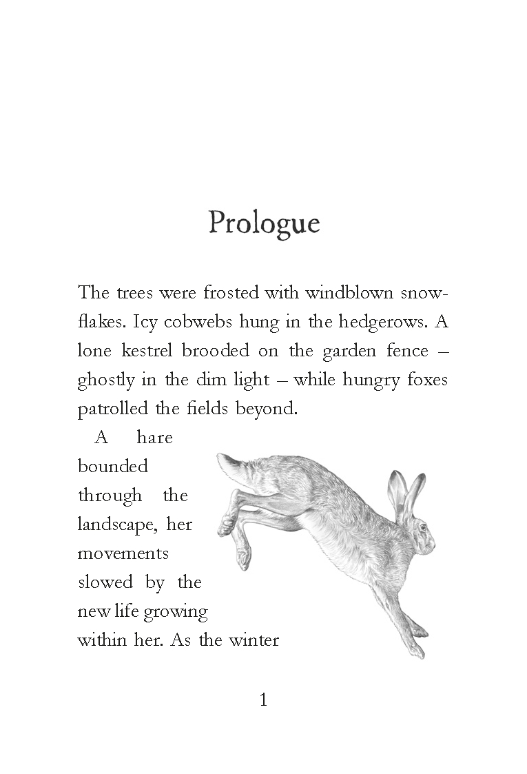 Raising Hare (Children's Edition)