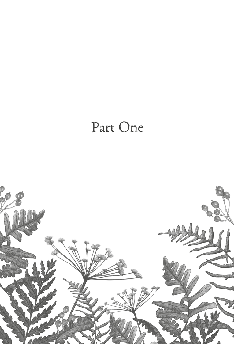 Raising Hare (Children's Edition)