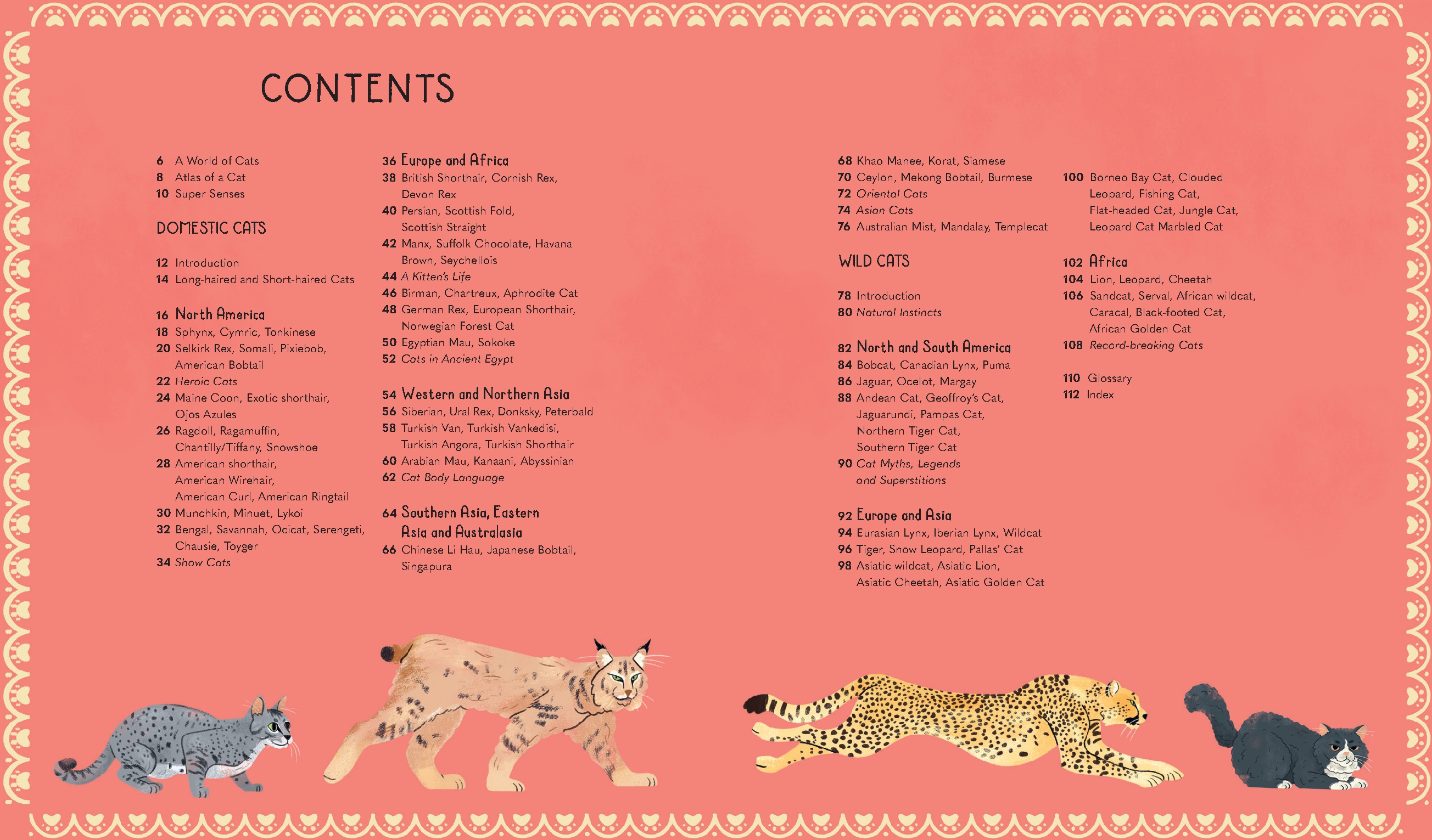 Atlas of Cats 1