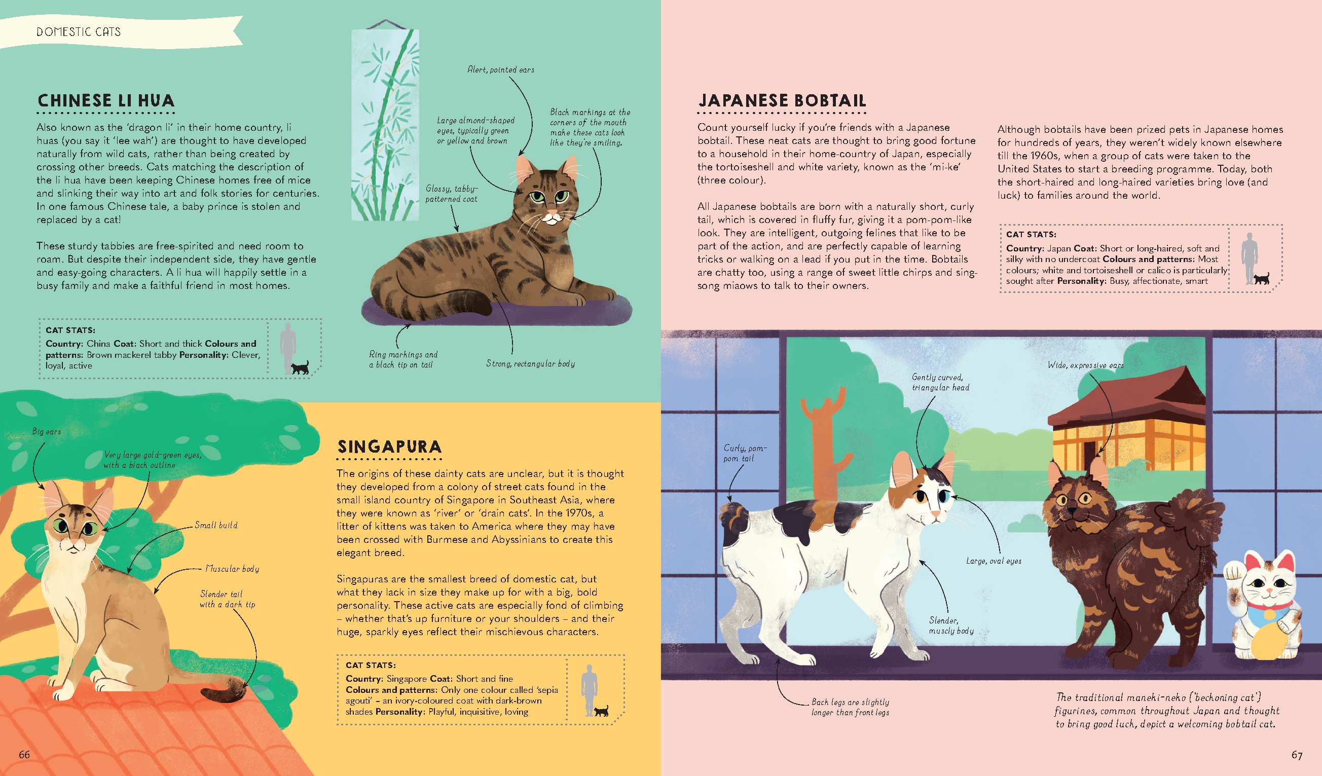 Atlas of Cats 1