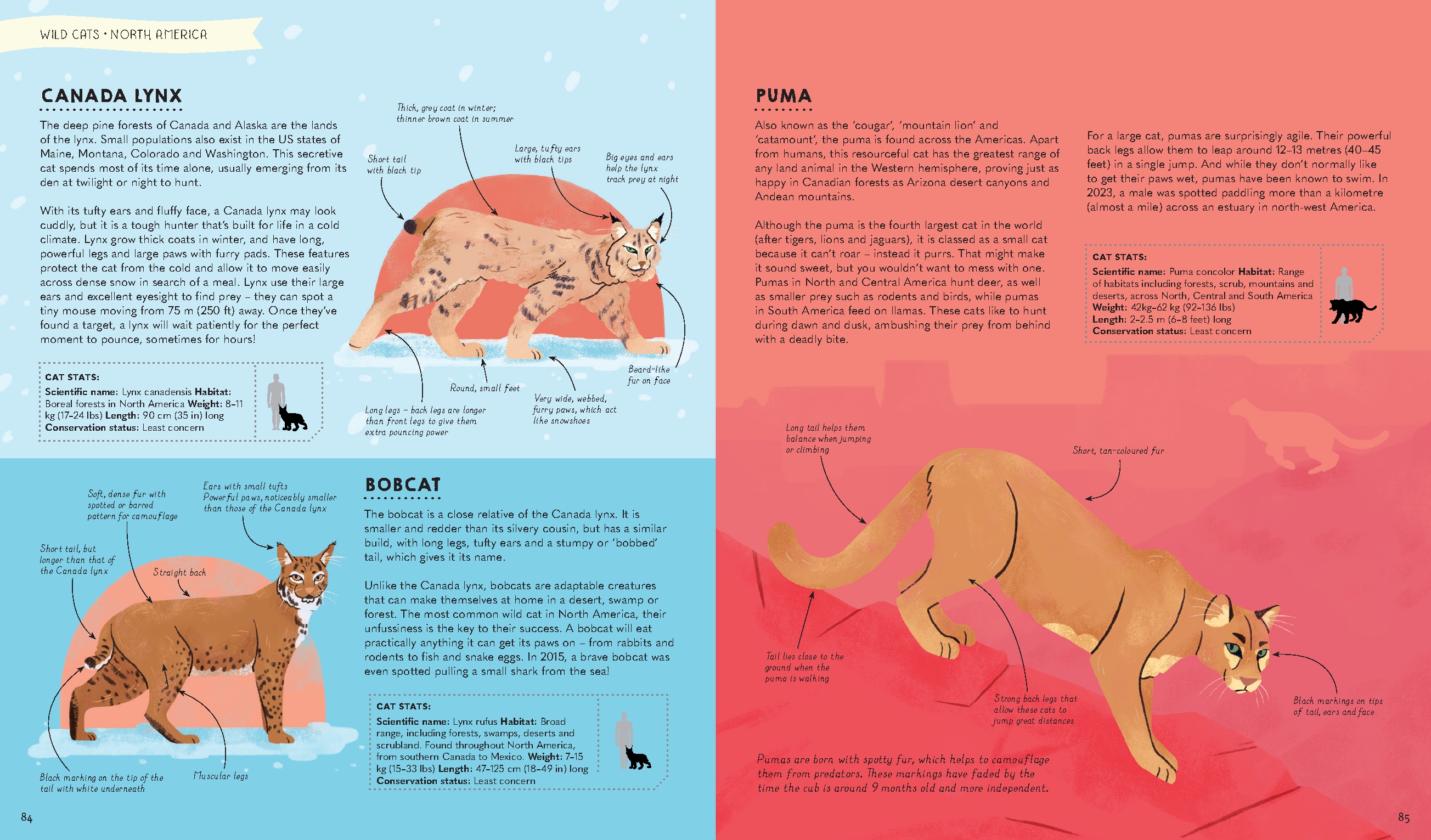 Atlas of Cats 1