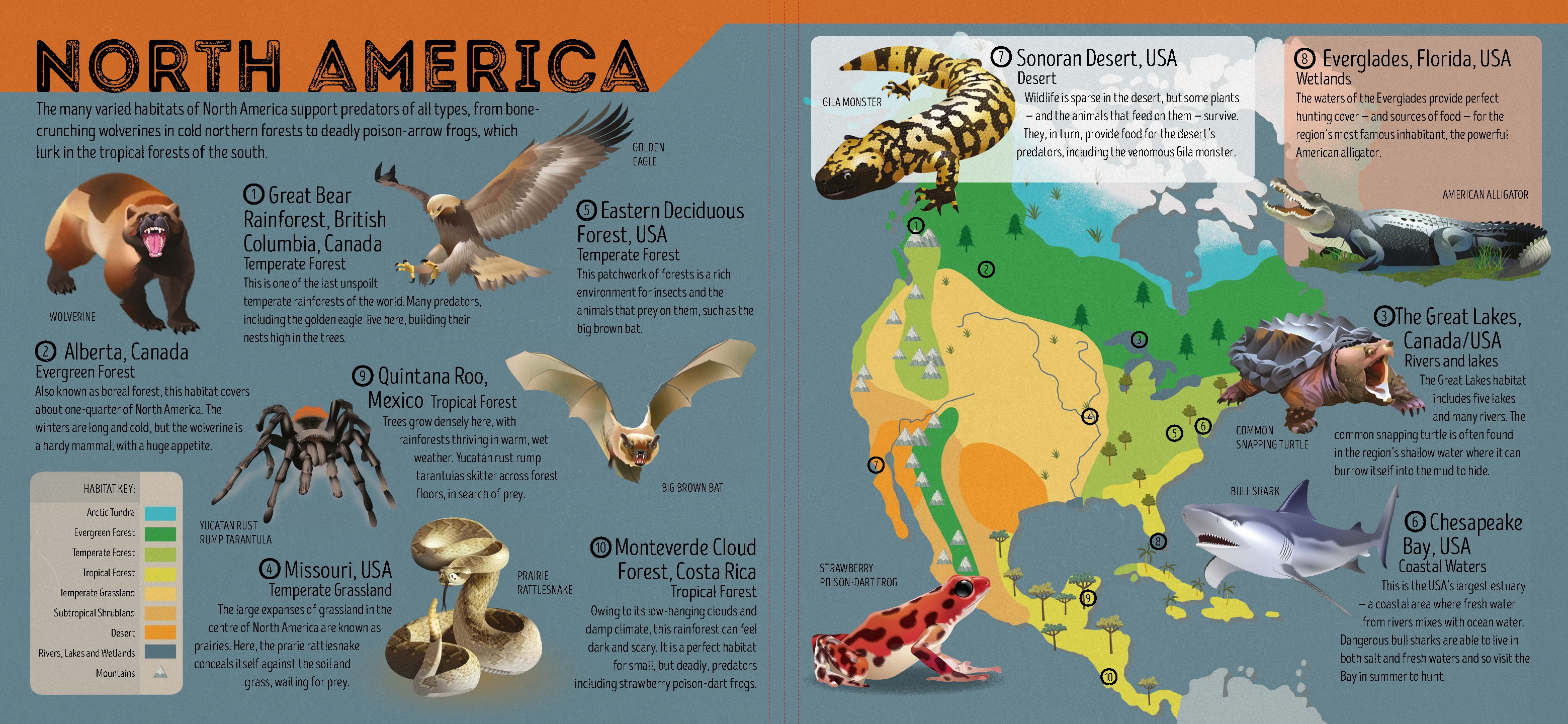 Deadly Animal Atlas