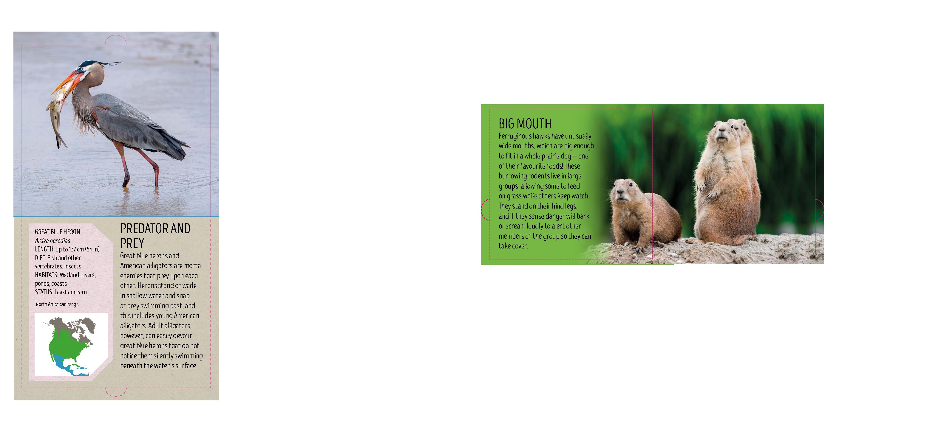 Deadly Animal Atlas
