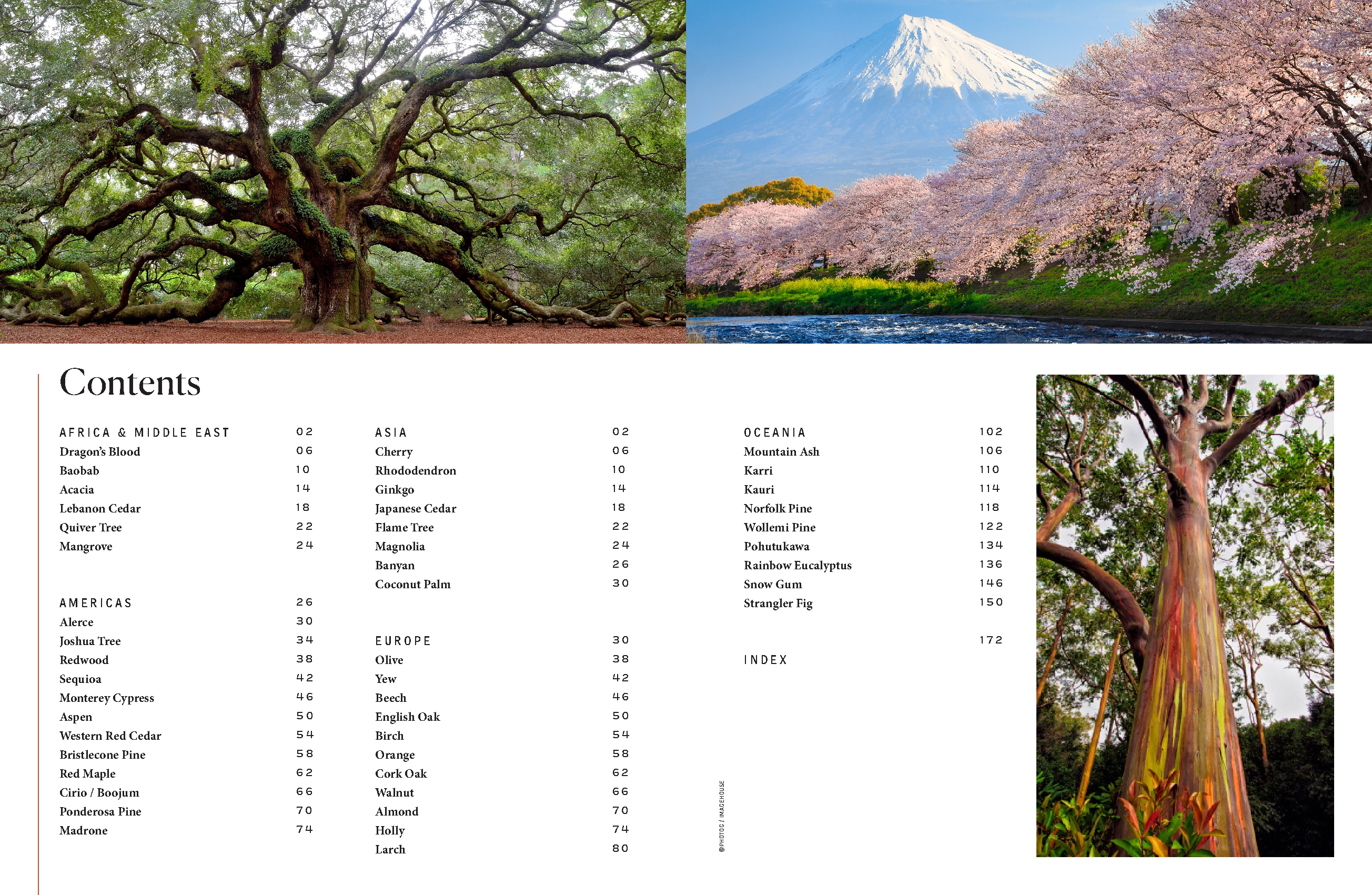 The Tree Atlas
