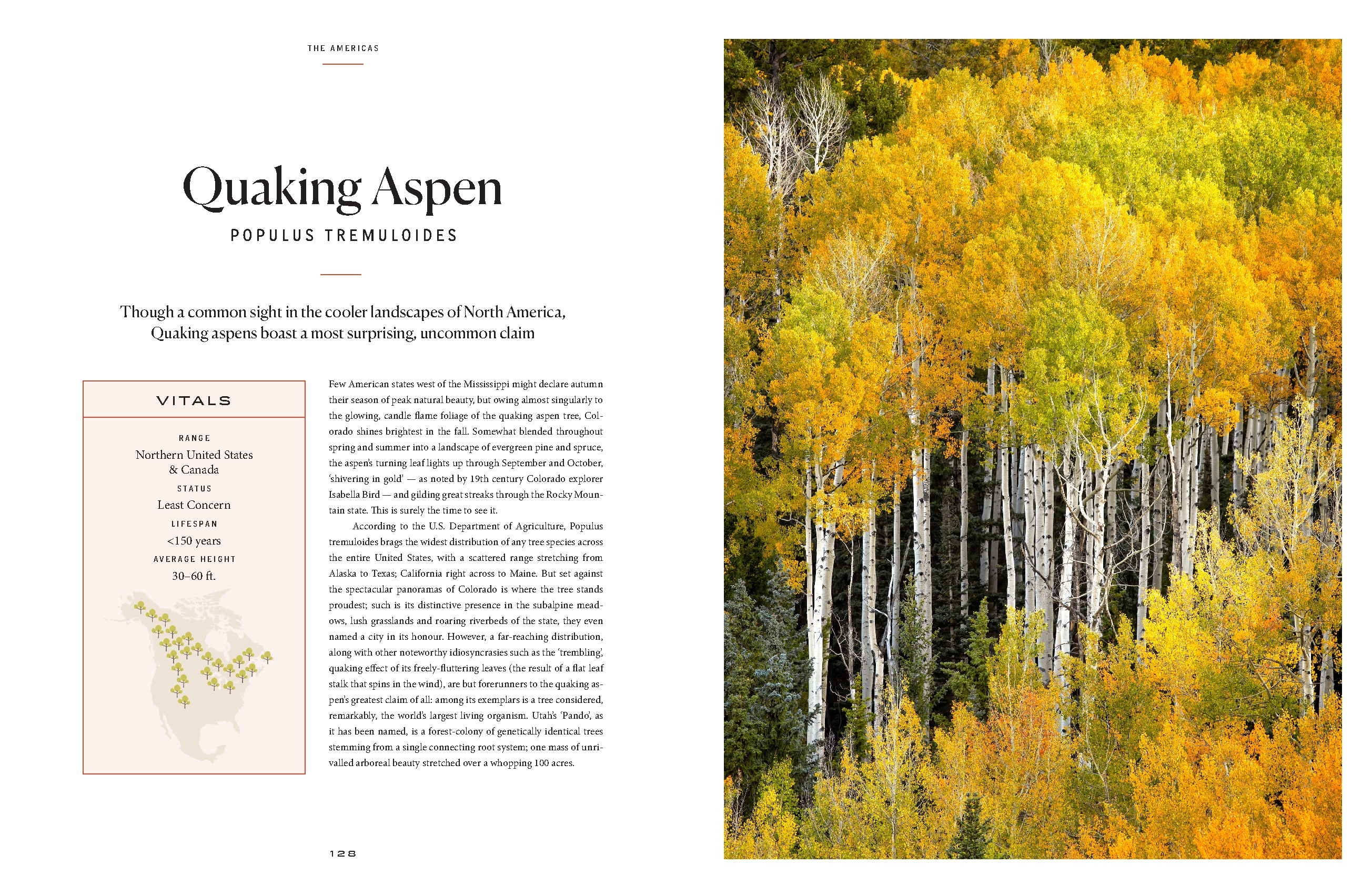 The Tree Atlas