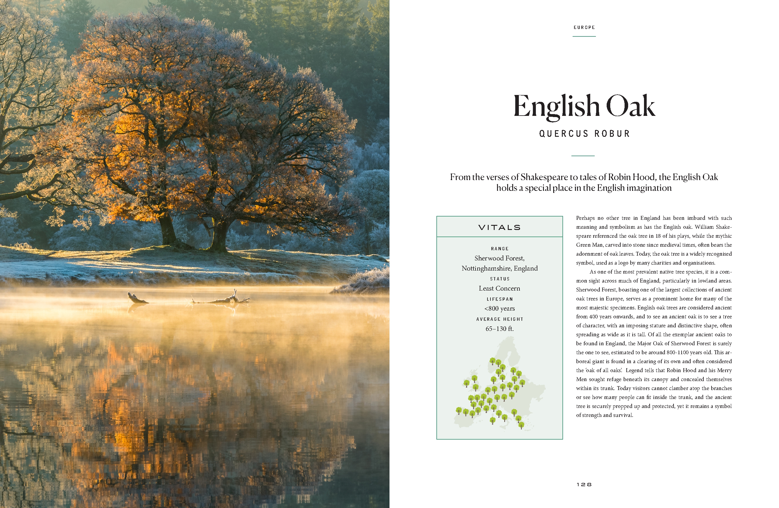 The Tree Atlas